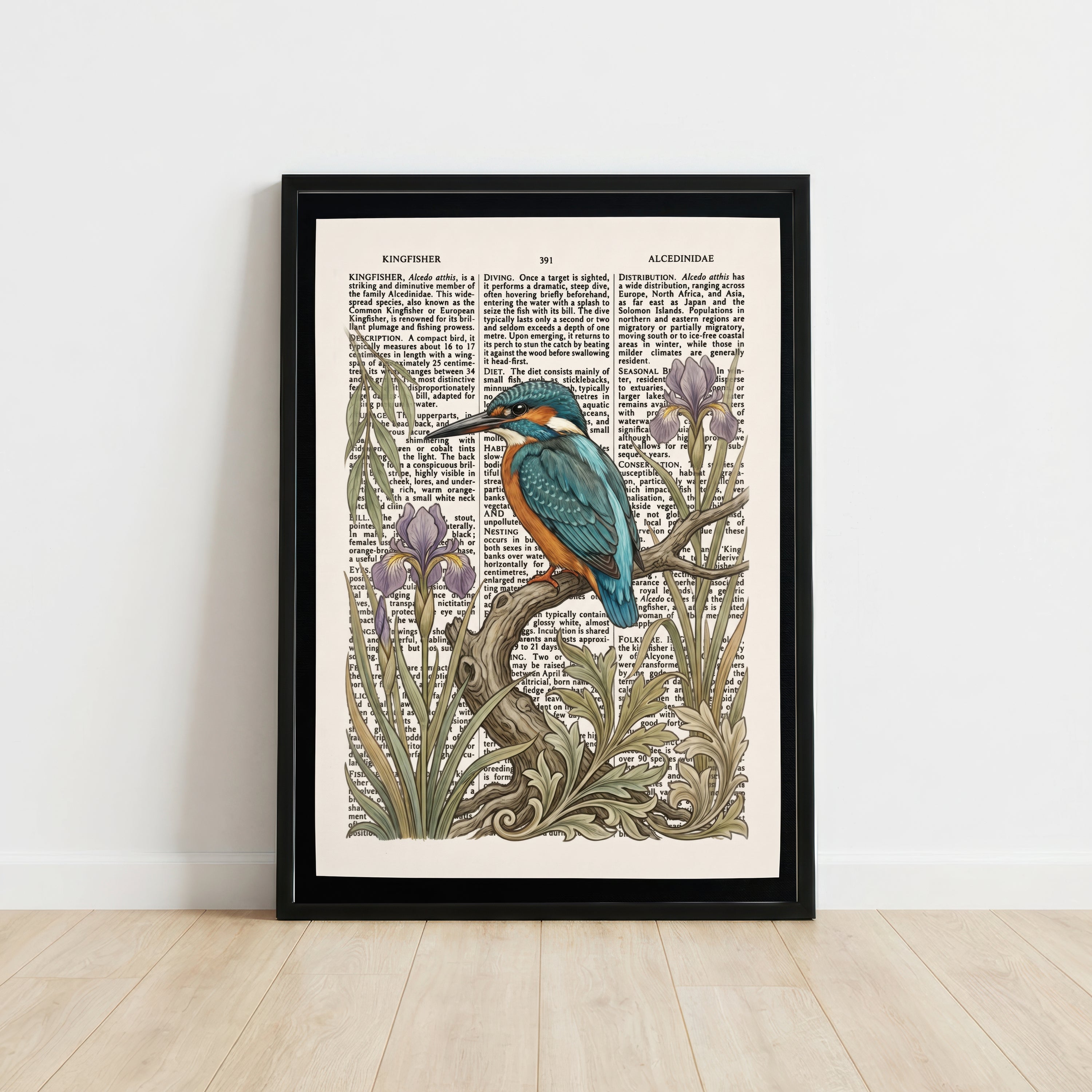 Kingfisher and Iris Vintage Art Print