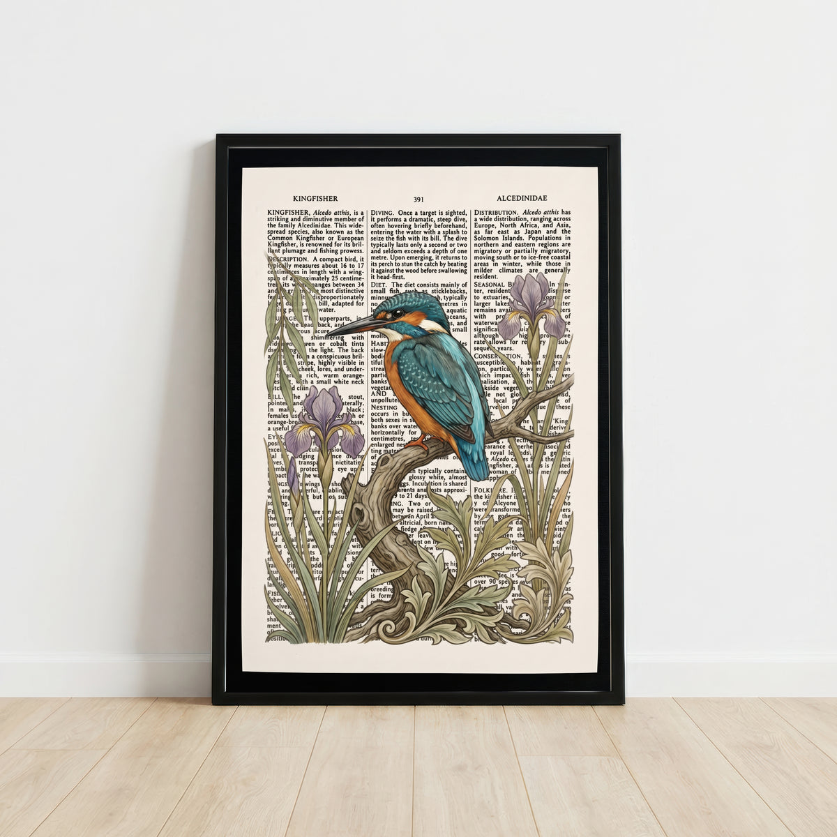 Kingfisher and Iris Vintage Art Print