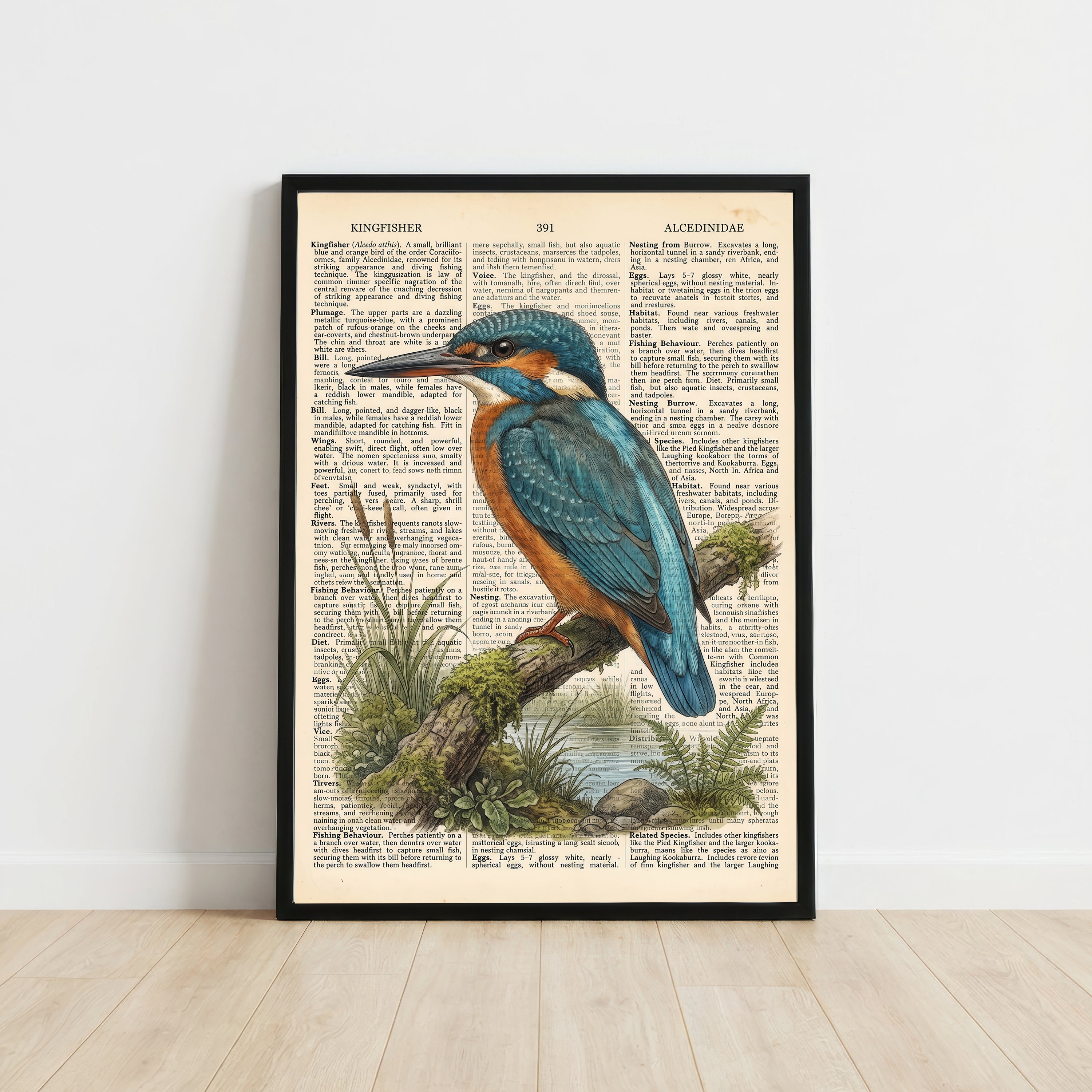Vintage Kingfisher Wildlife Art Print