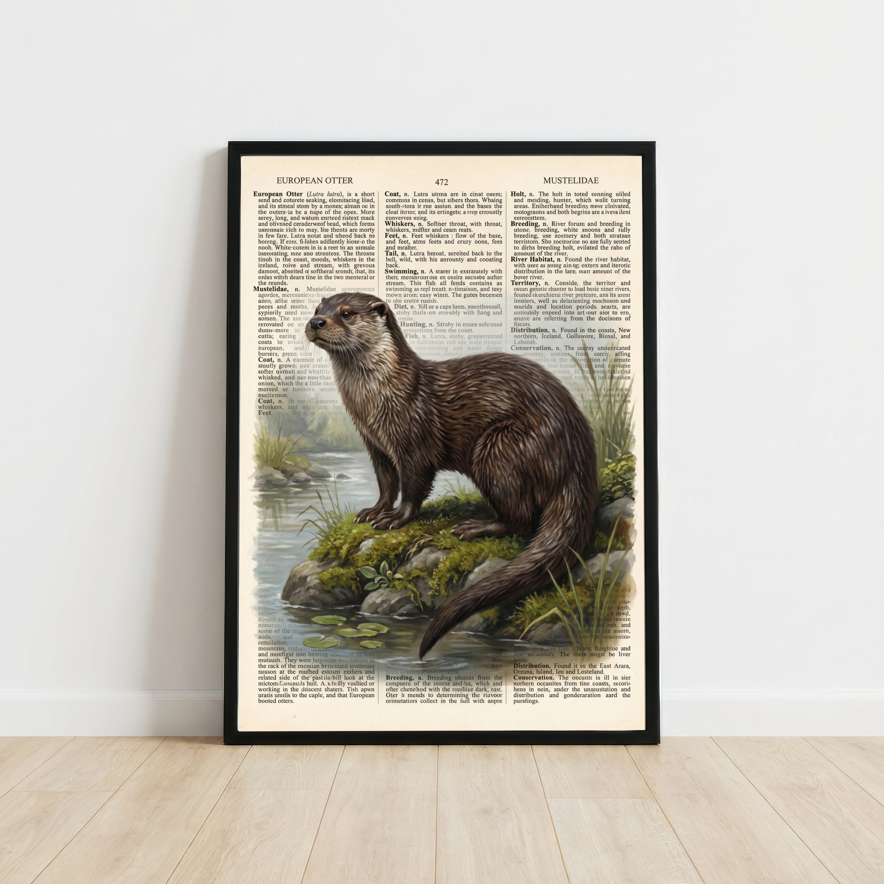European Otter Vintage Art Print