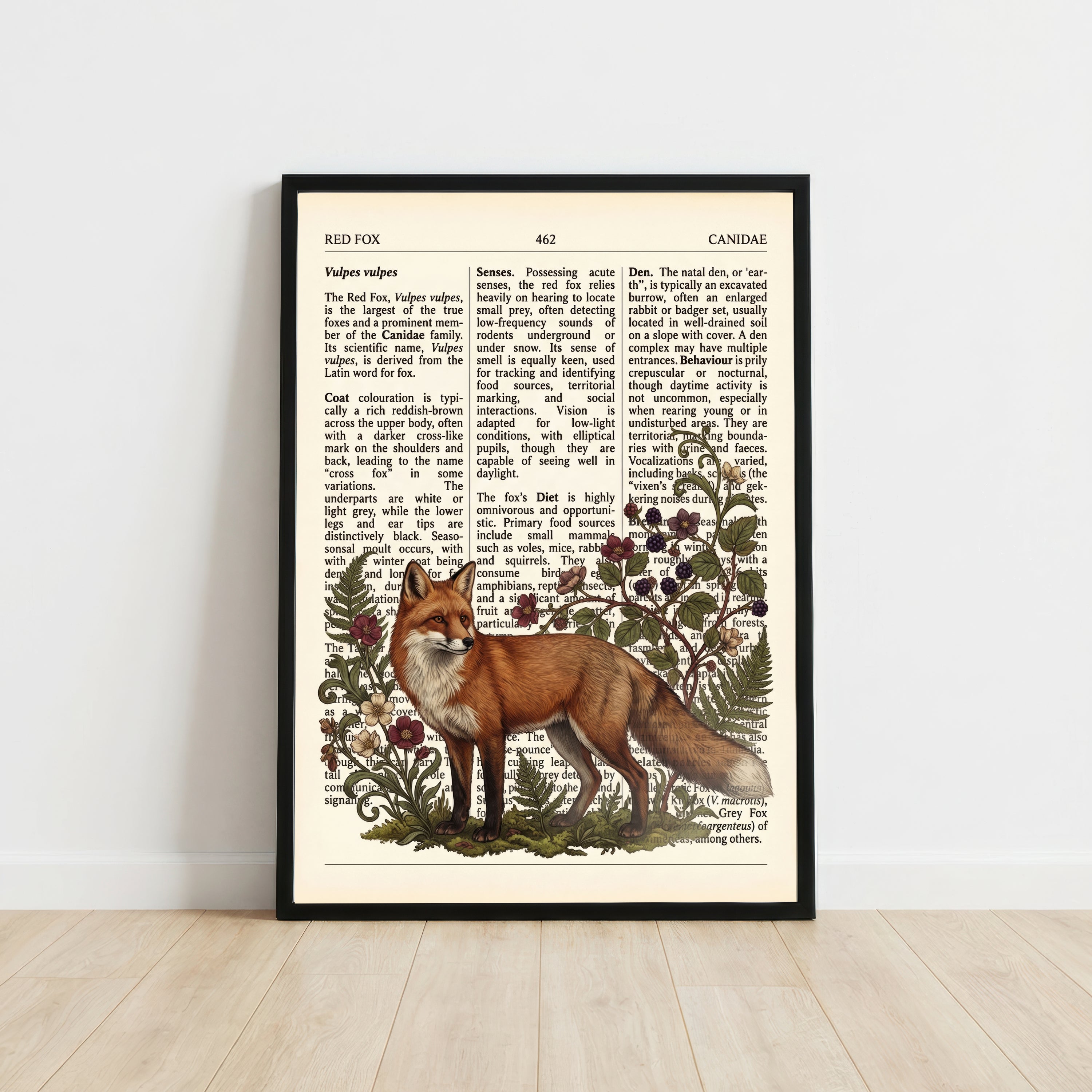 Vintage Red Fox Botanical Art Print
