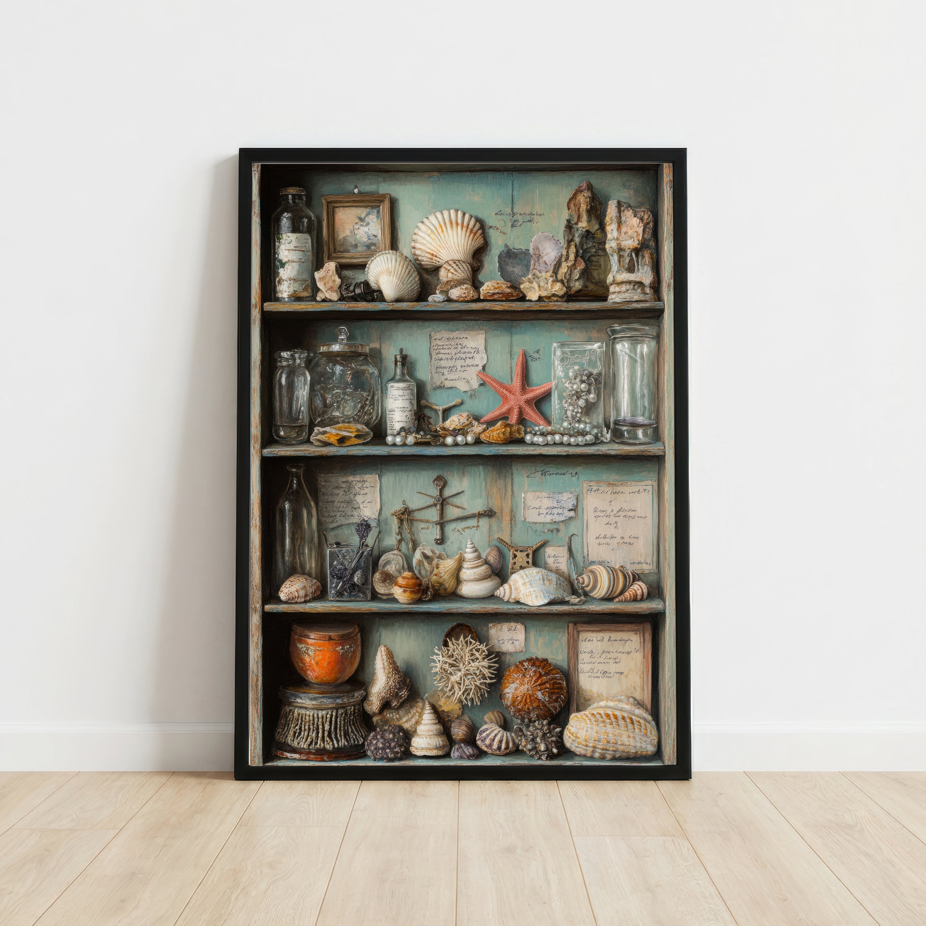 Seashell Cabinet Still Life Art Print