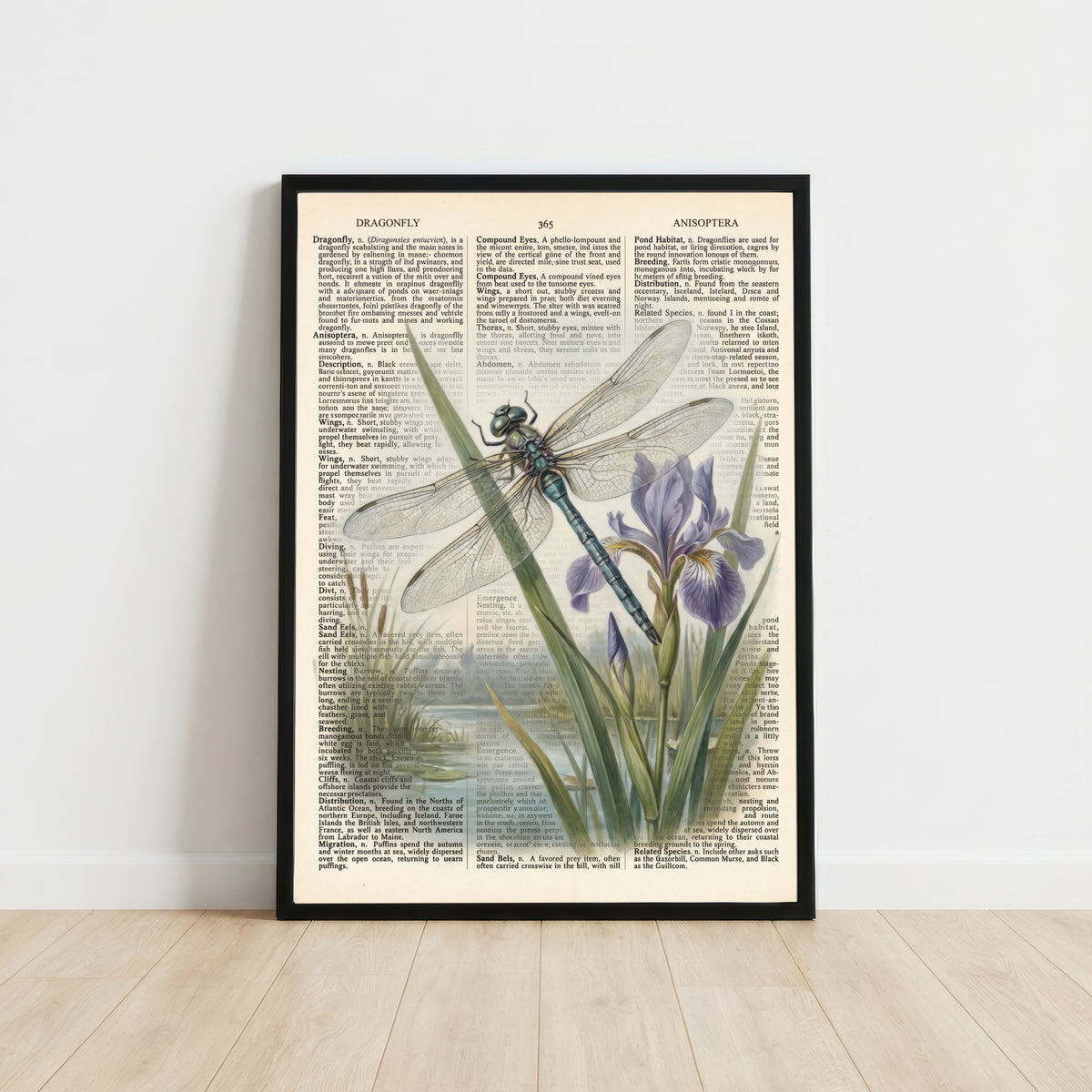 Dragonfly Iris Vintage Art Print