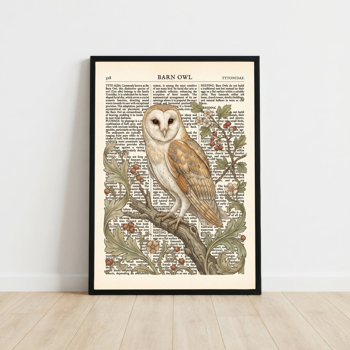 Barn Owl Natural History Art Print