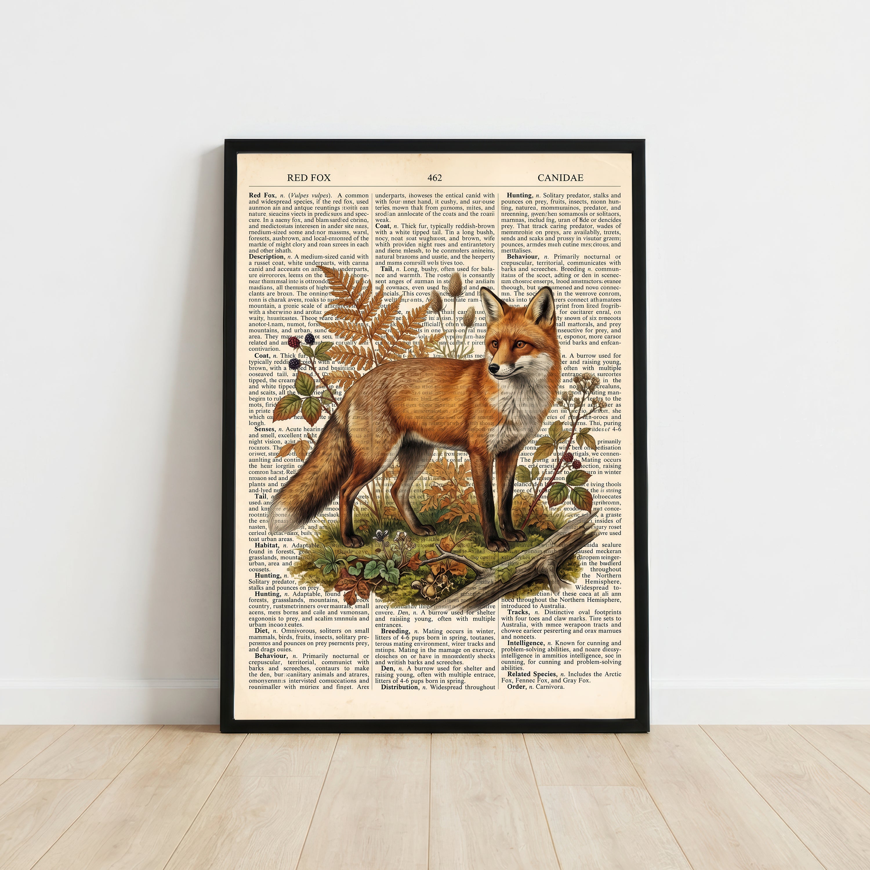 Vintage Red Fox Natural History Art Print
