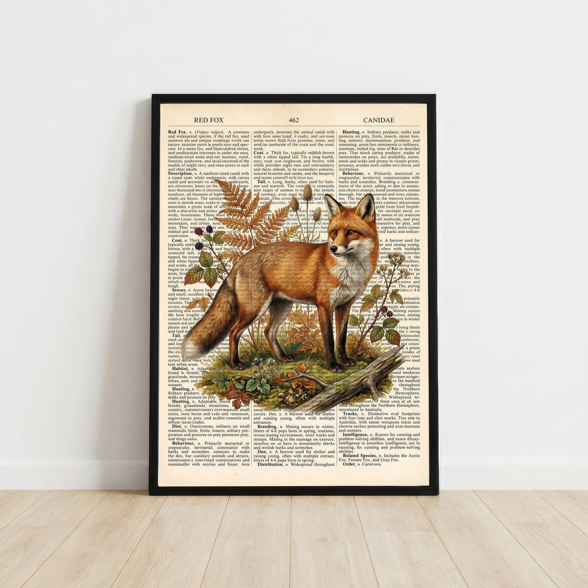 Vintage Red Fox Natural History Art Print
