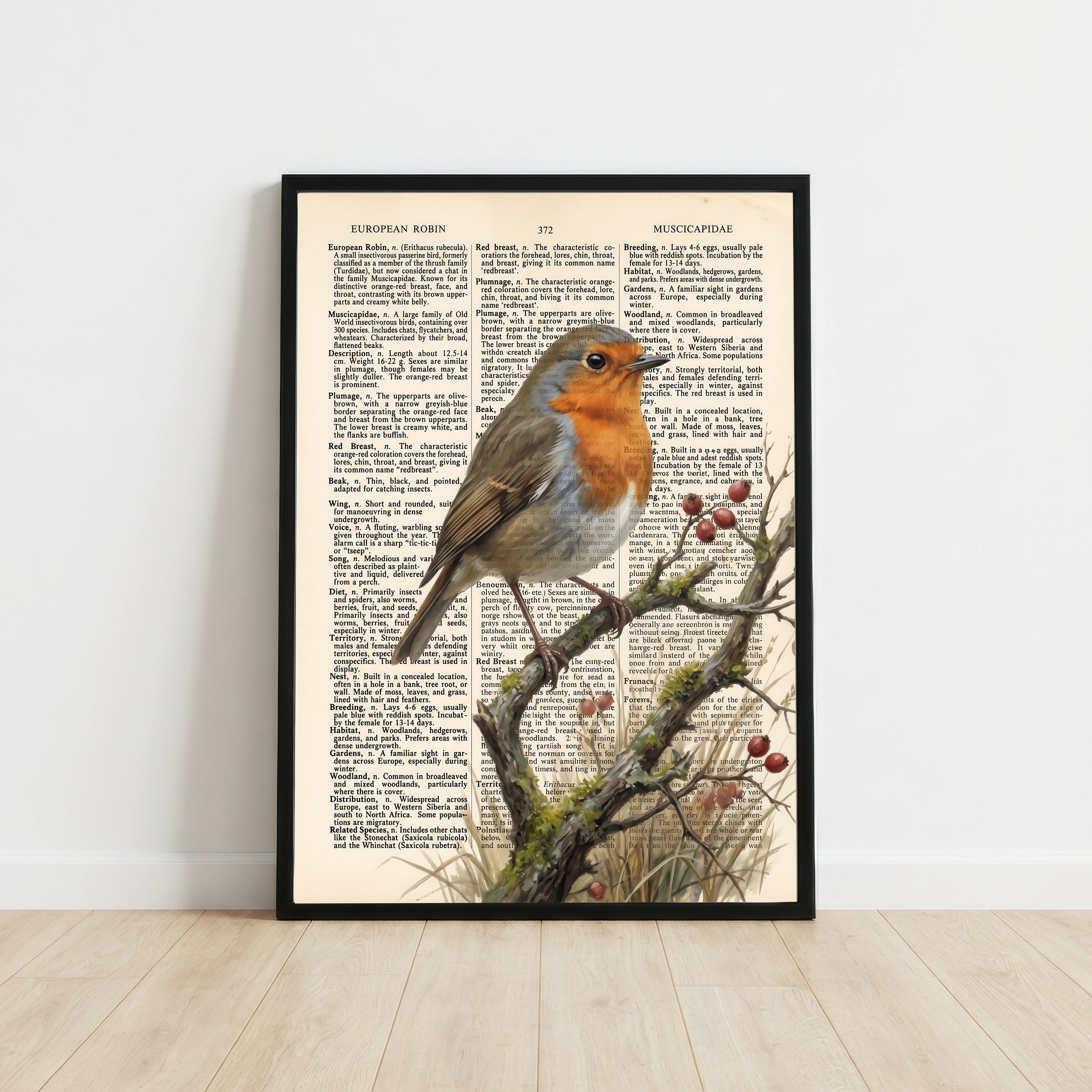 European Robin Vintage Dictionary Art Print