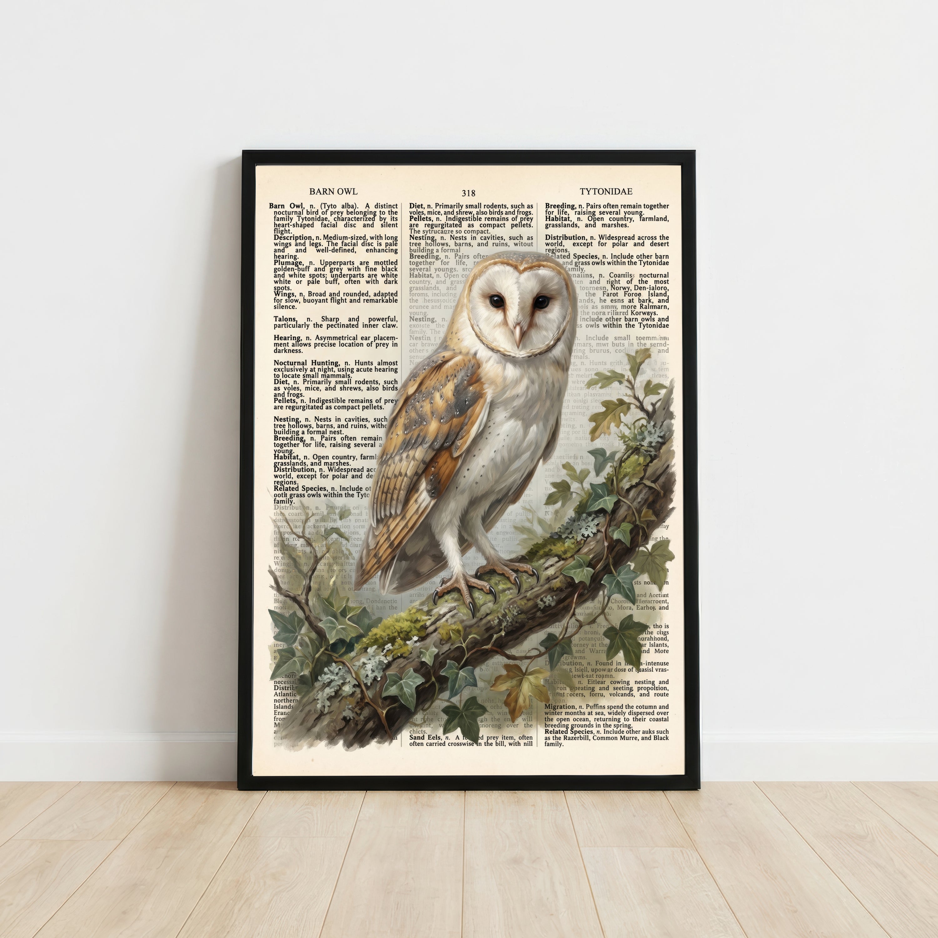 Barn Owl Vintage Botanical Art Print
