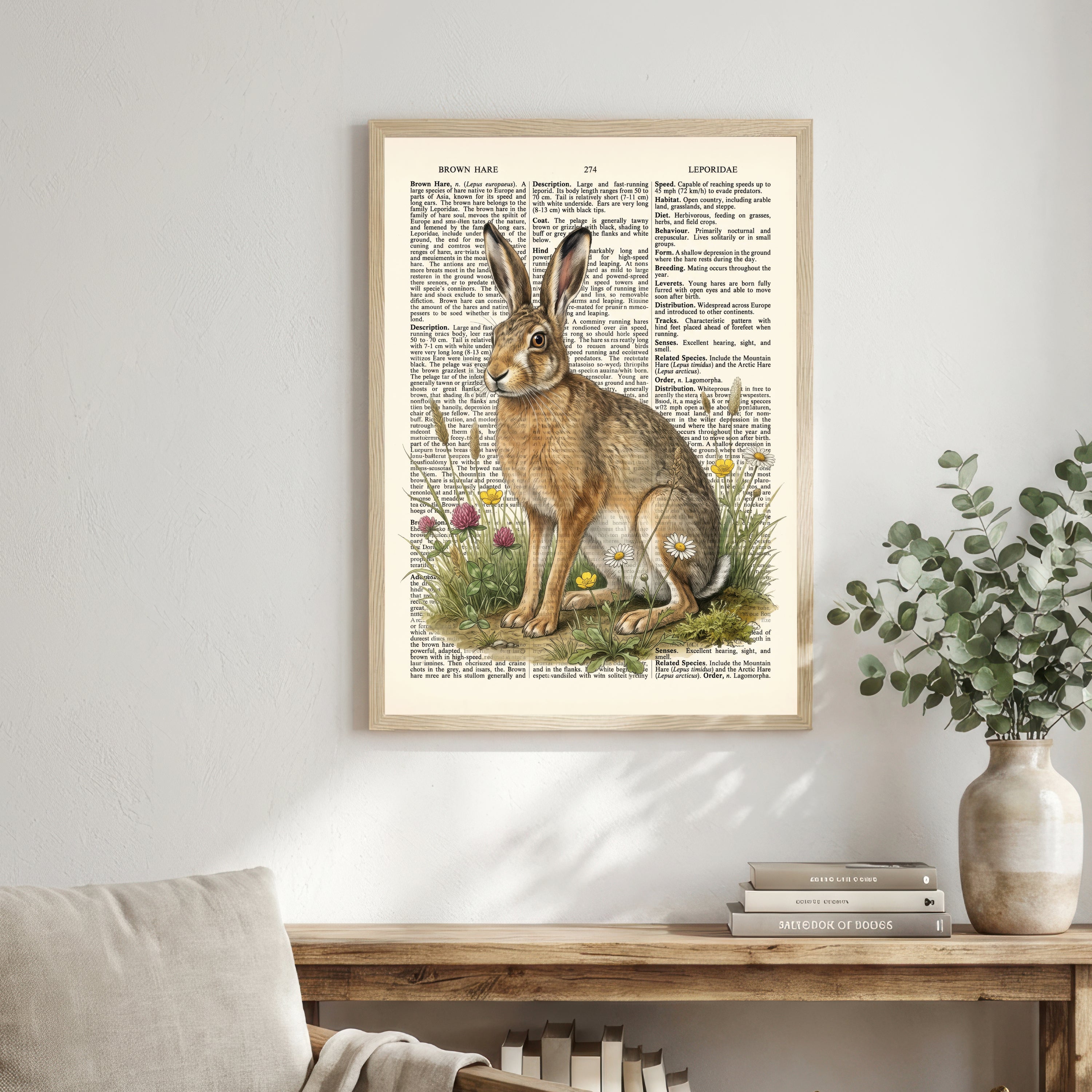 Brown Hare Botanical Art Print