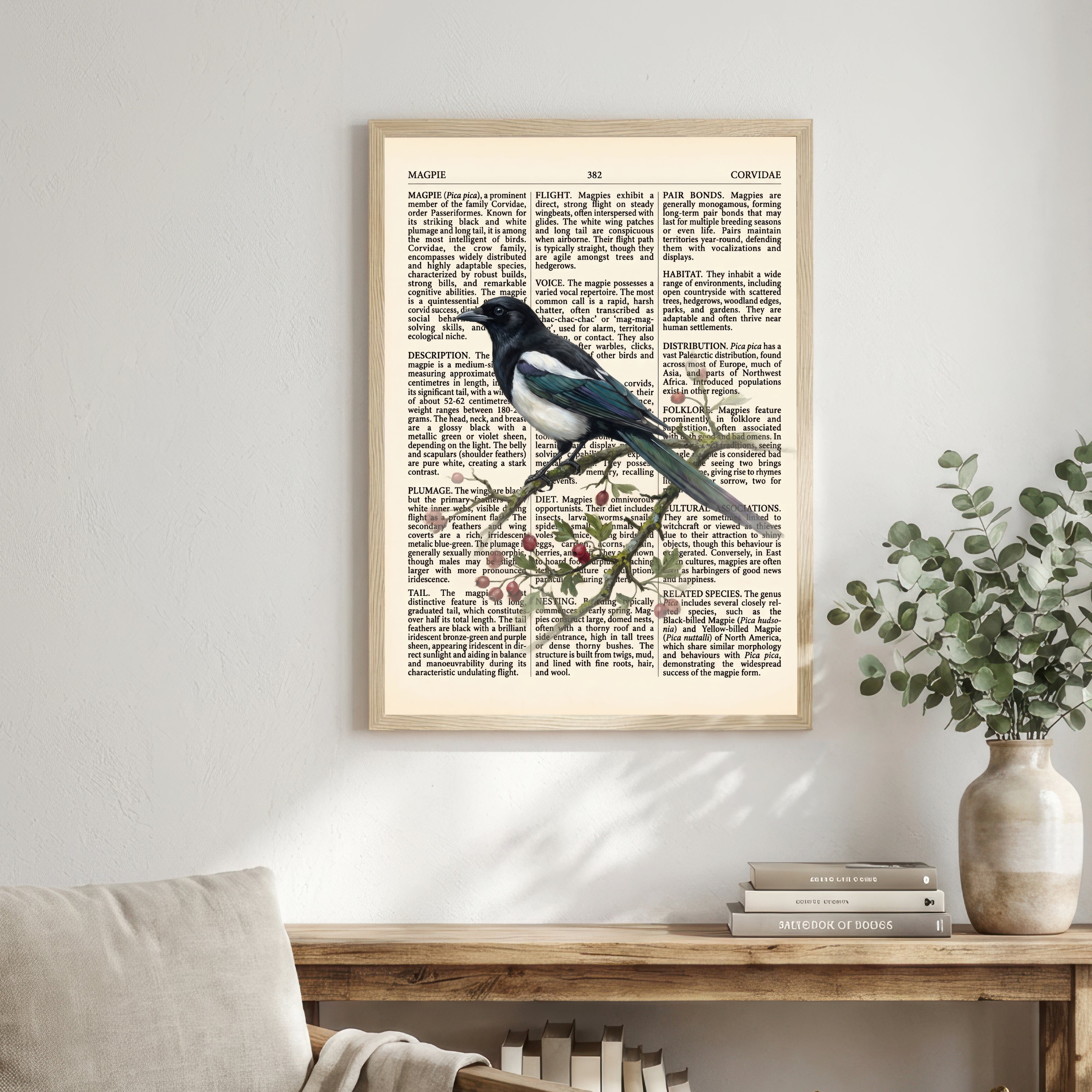 Vintage Magpie Natural History Art Print
