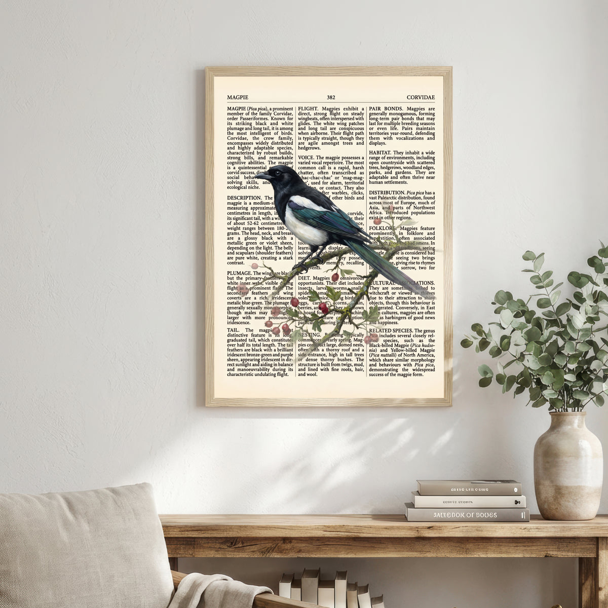 Vintage Magpie Natural History Art Print