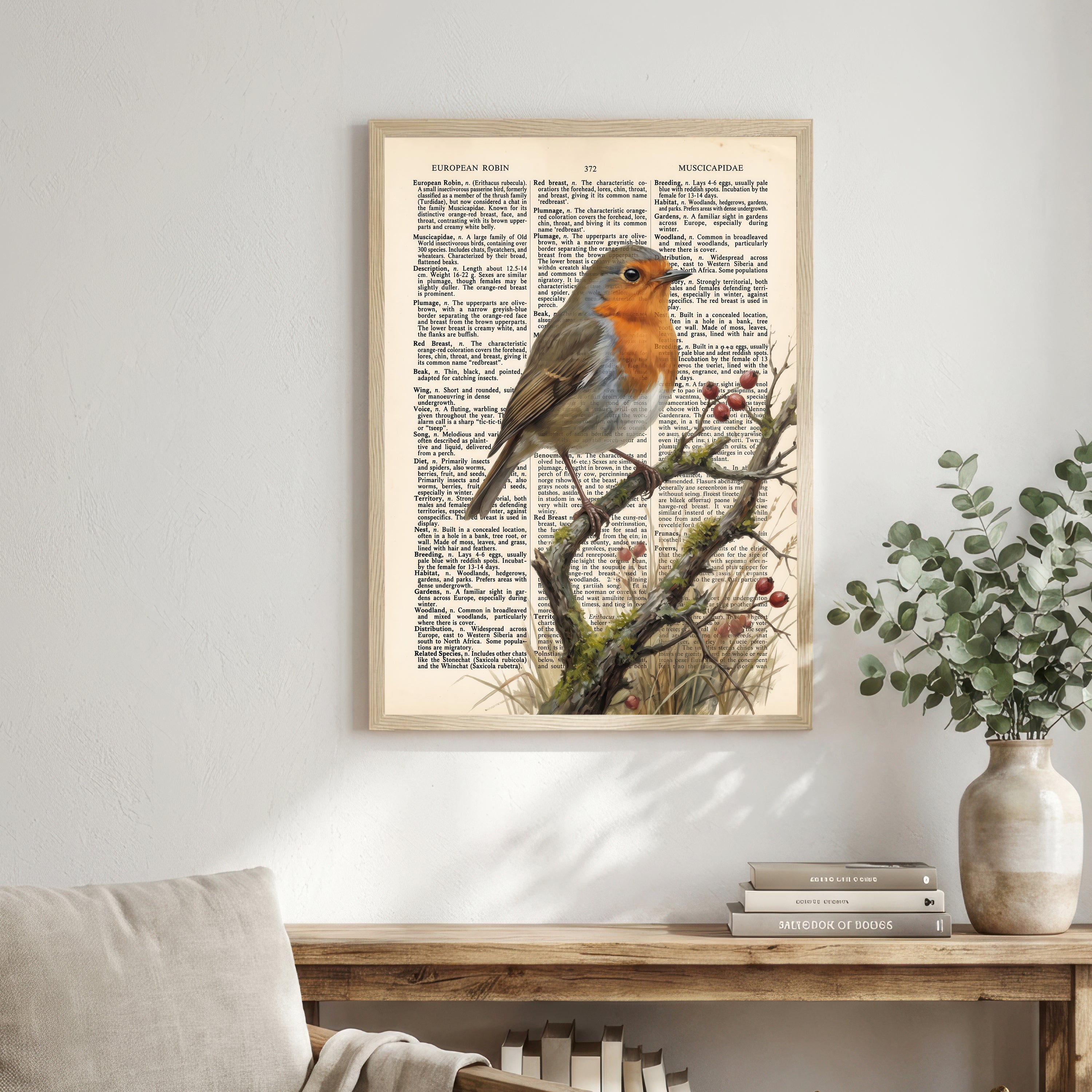European Robin Vintage Dictionary Art Print