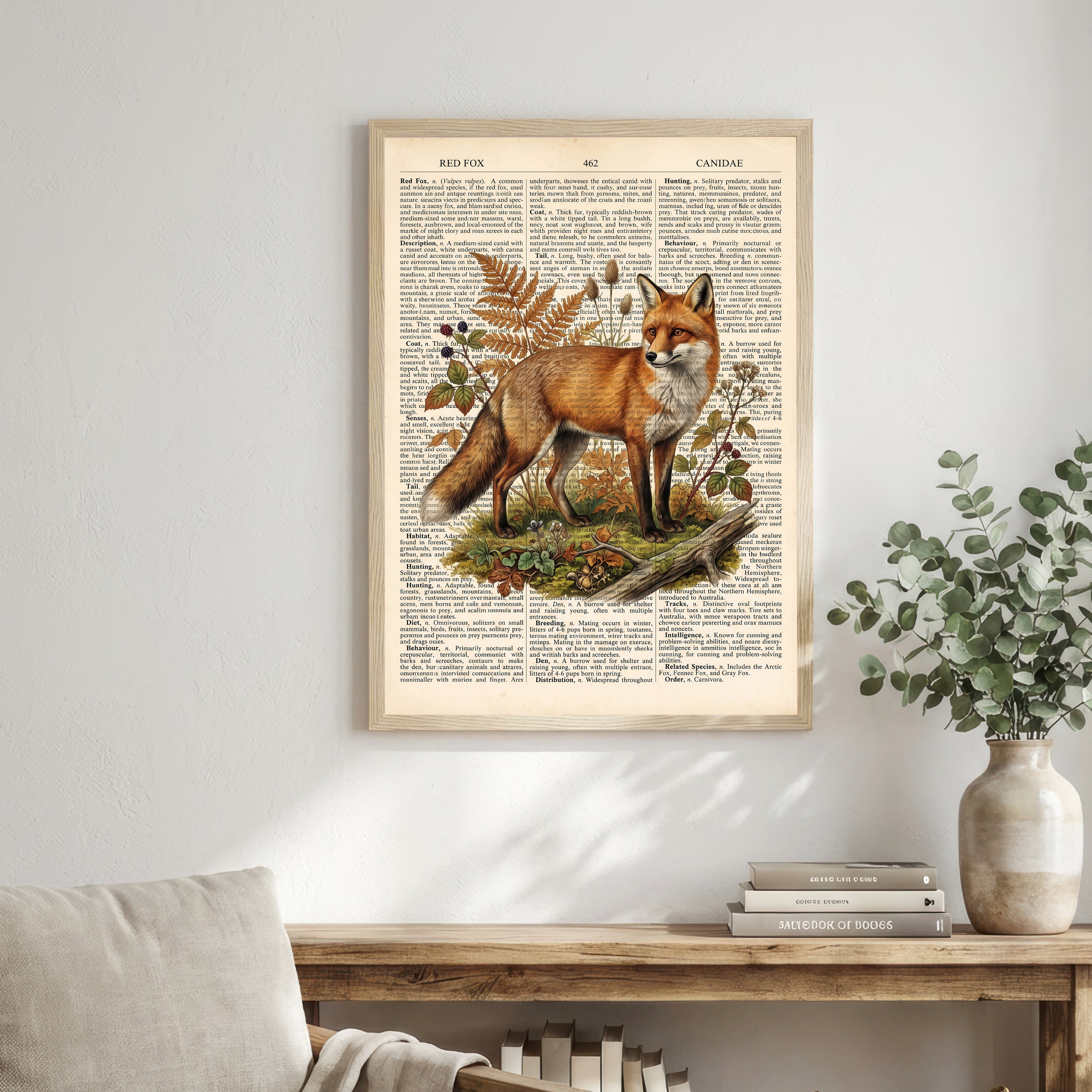 Vintage Red Fox Natural History Art Print