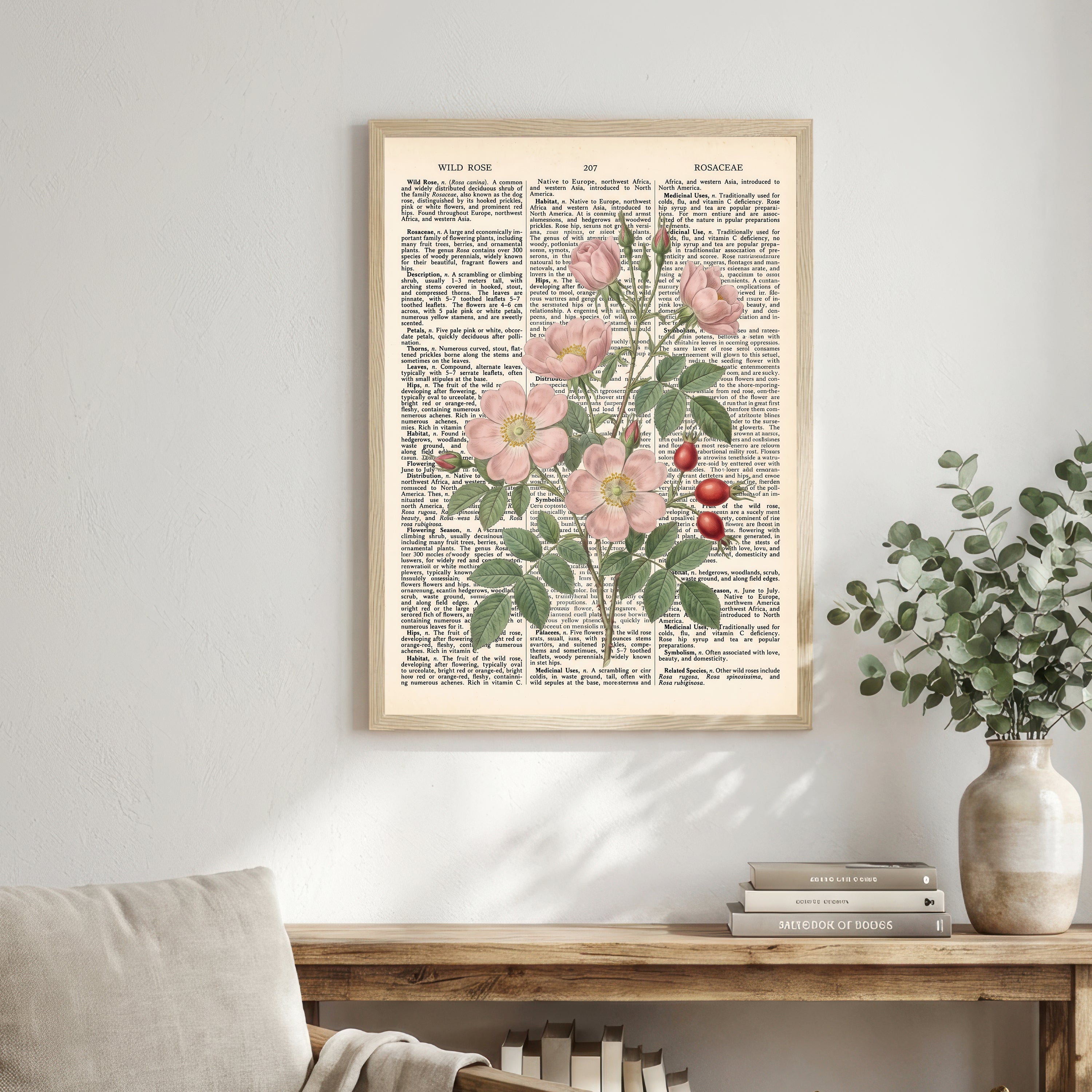 Wild Rose Botanical Dictionary Art Print