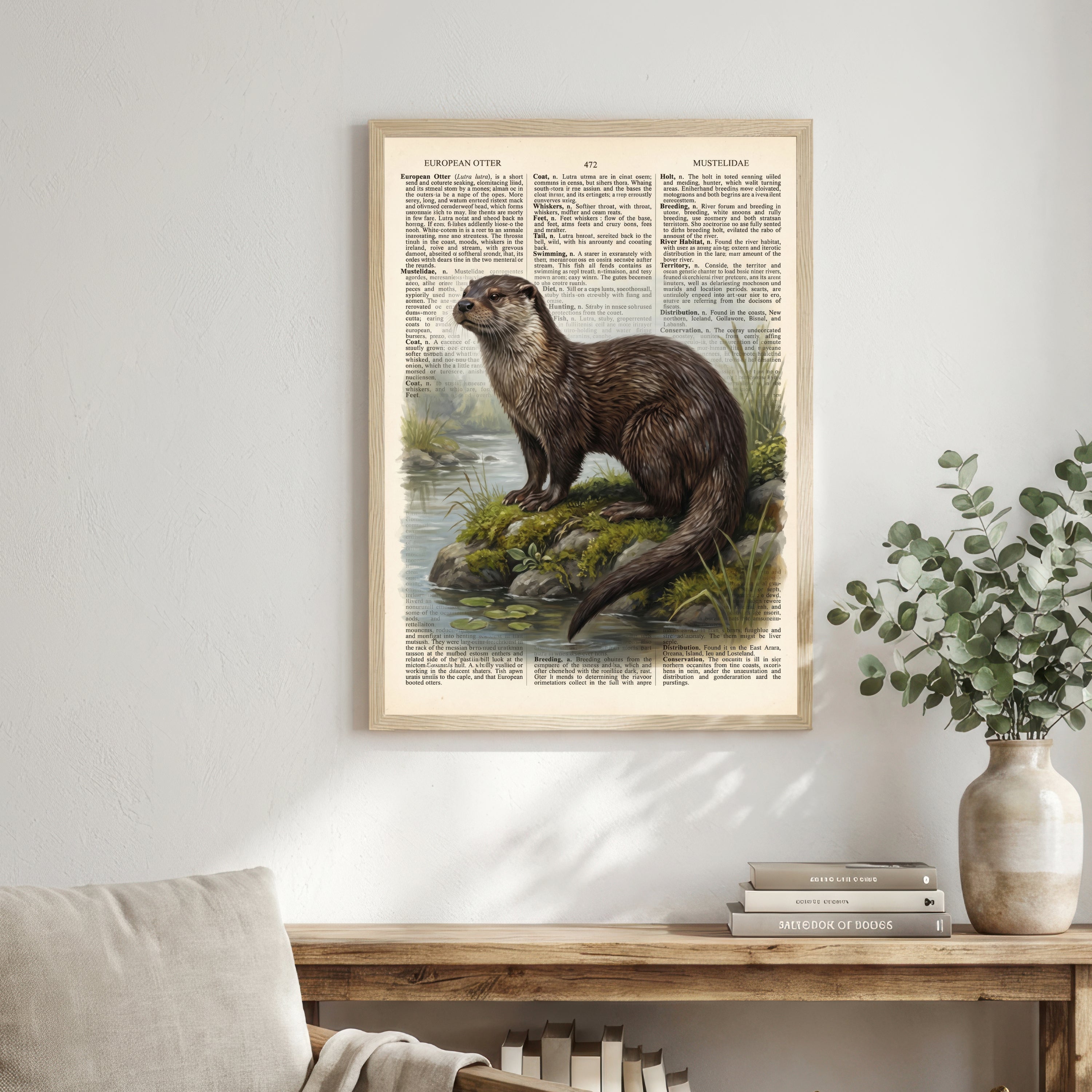 European Otter Vintage Art Print