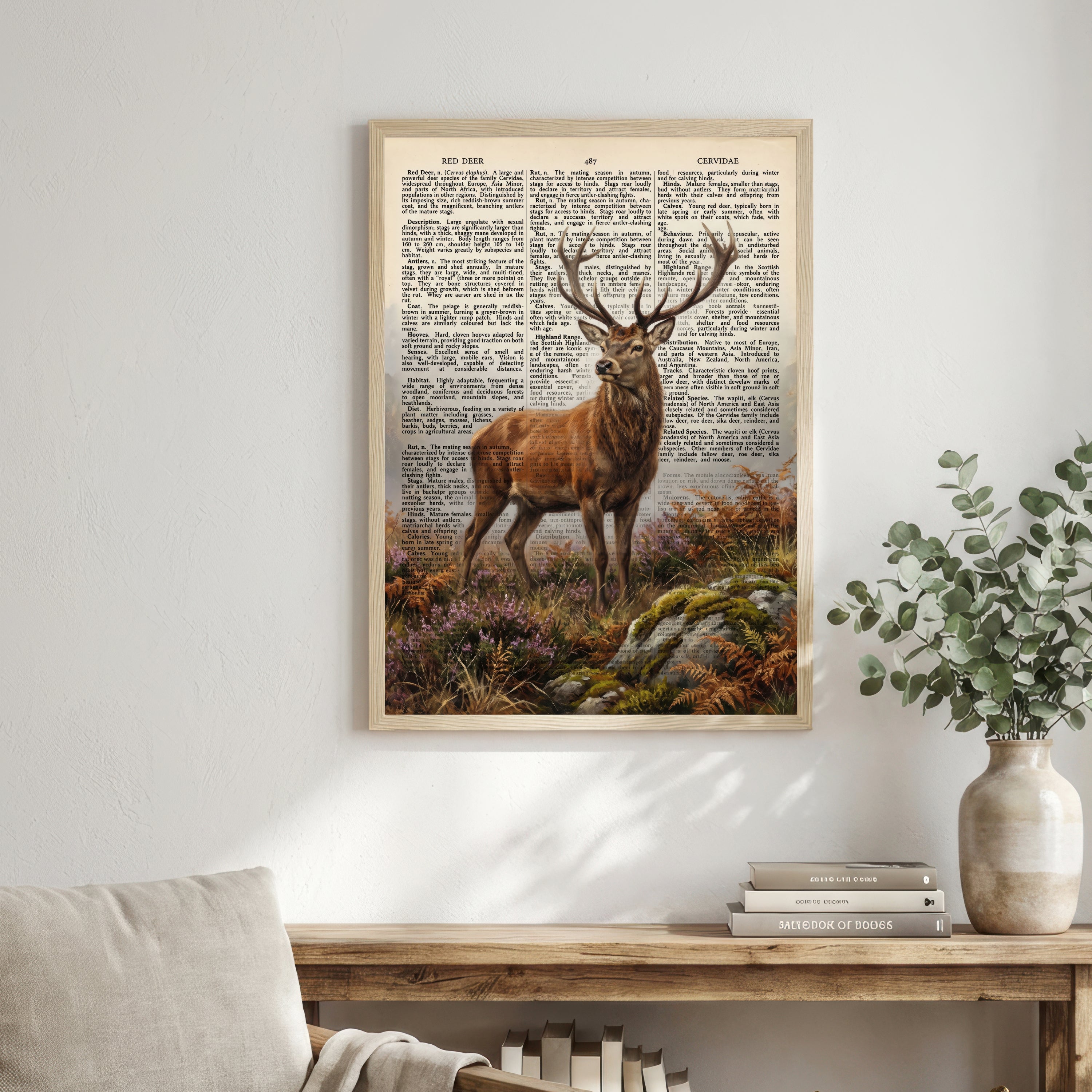 Red Deer Vintage Natural History Art Print