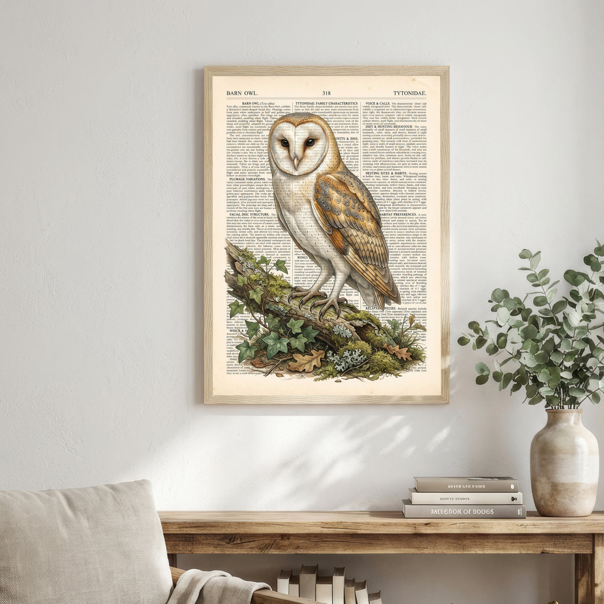 Vintage Barn Owl Art Print