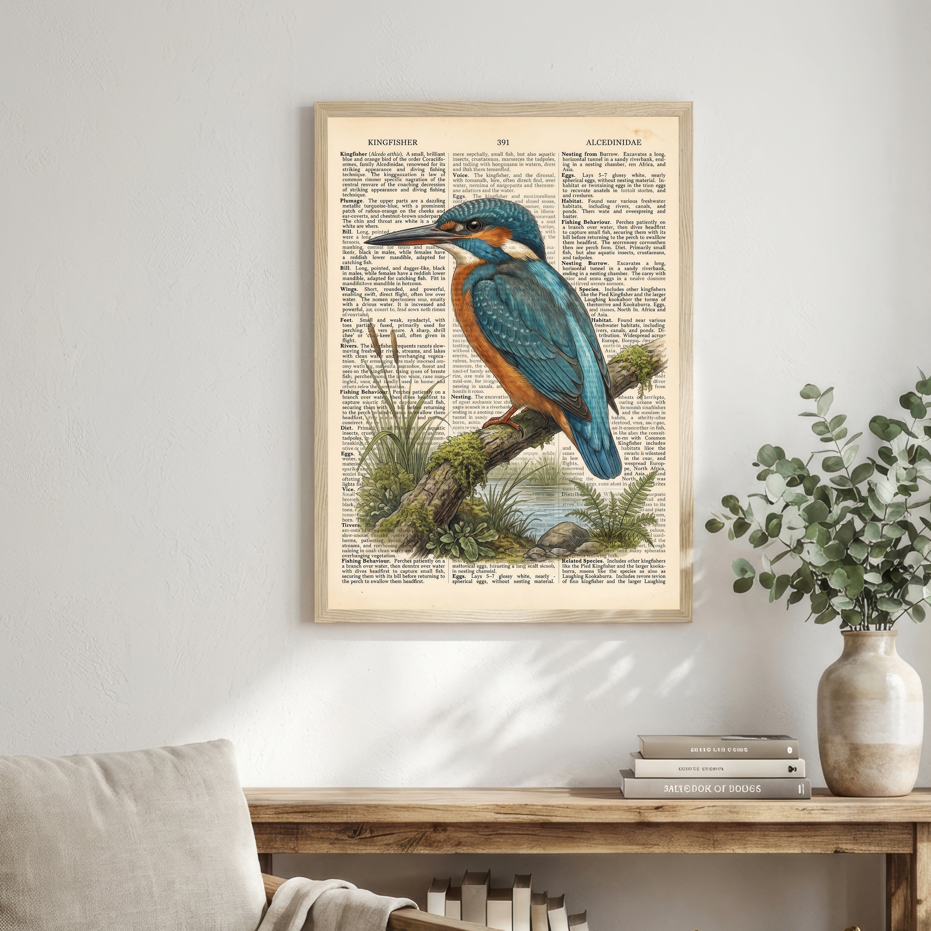 Vintage Kingfisher Wildlife Art Print