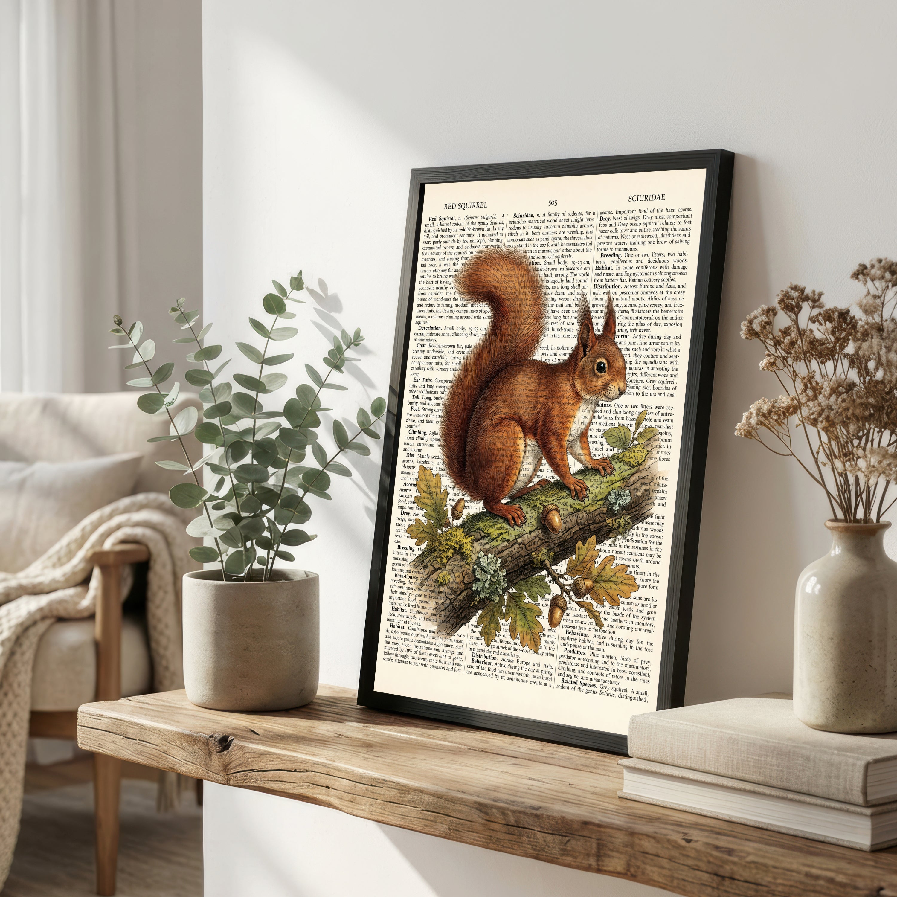 Red Squirrel Vintage Art Print