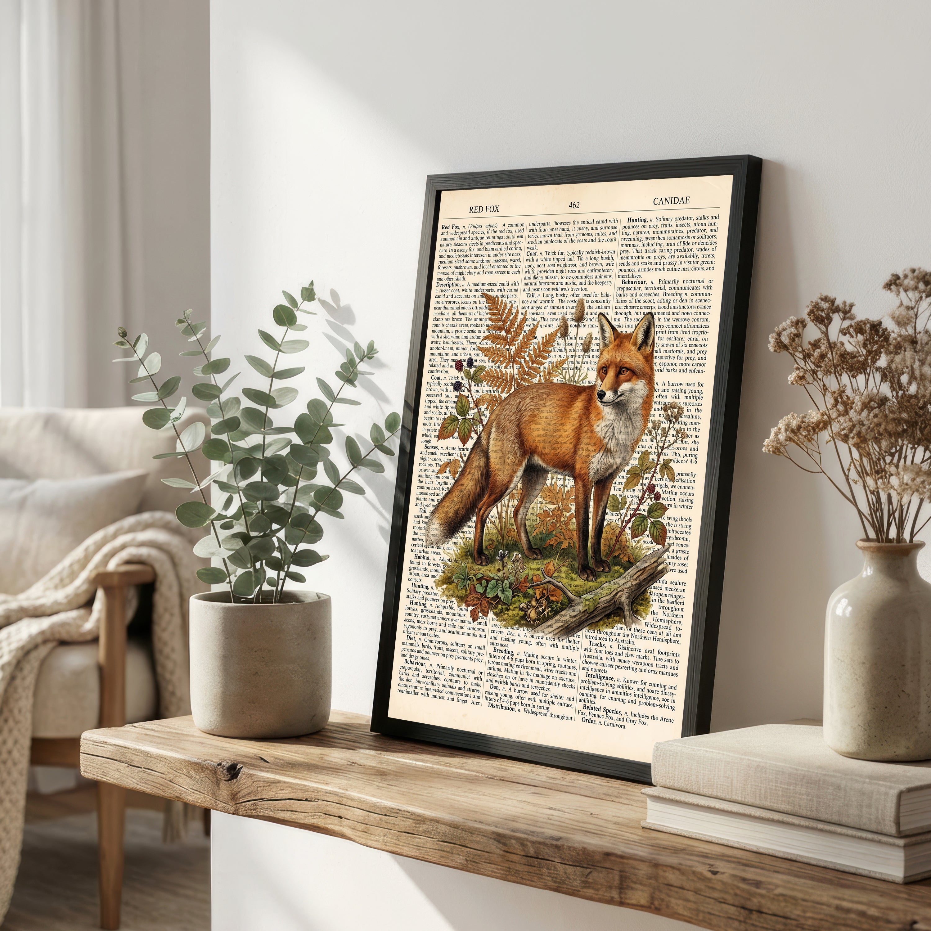 Vintage Red Fox Natural History Art Print