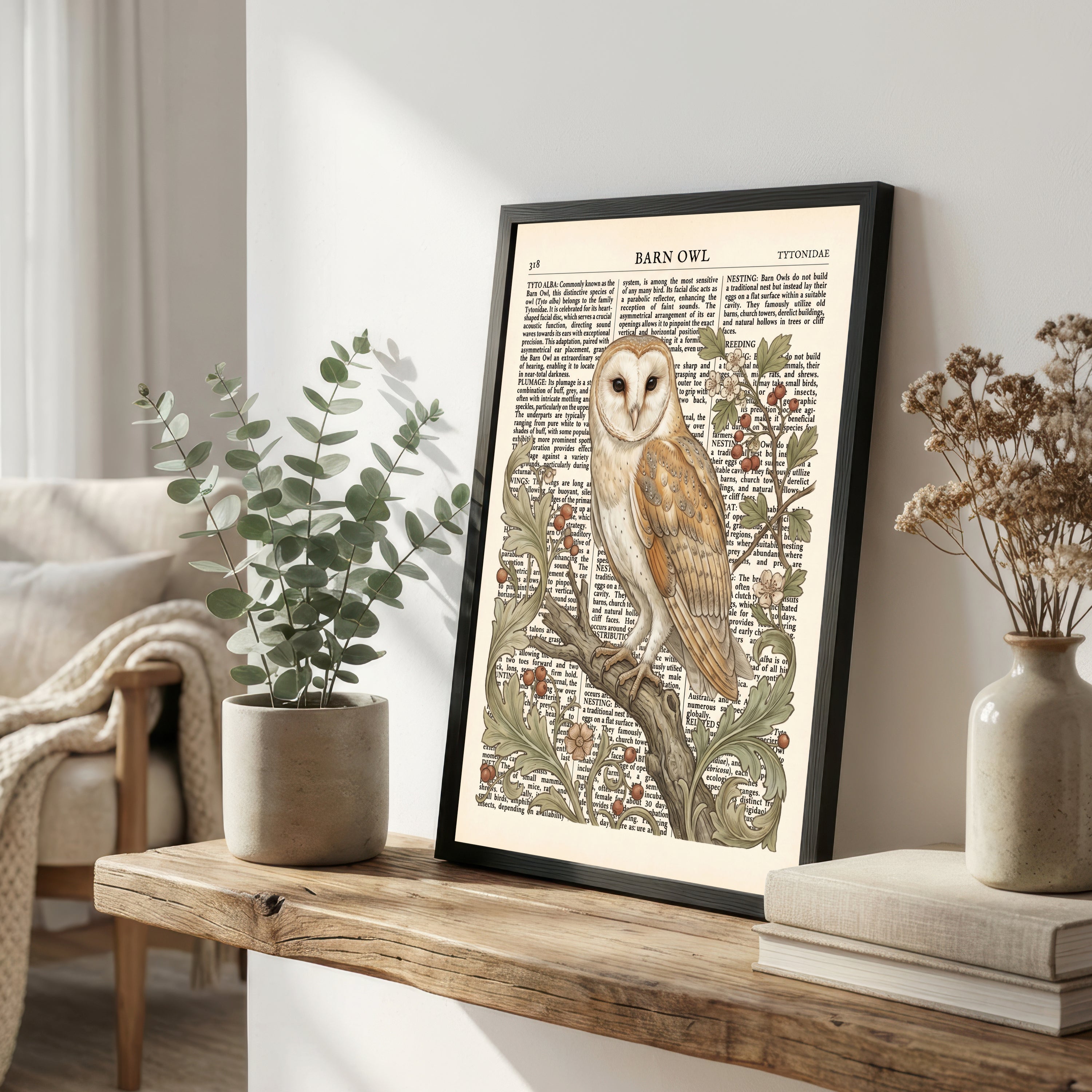 Barn Owl Natural History Art Print
