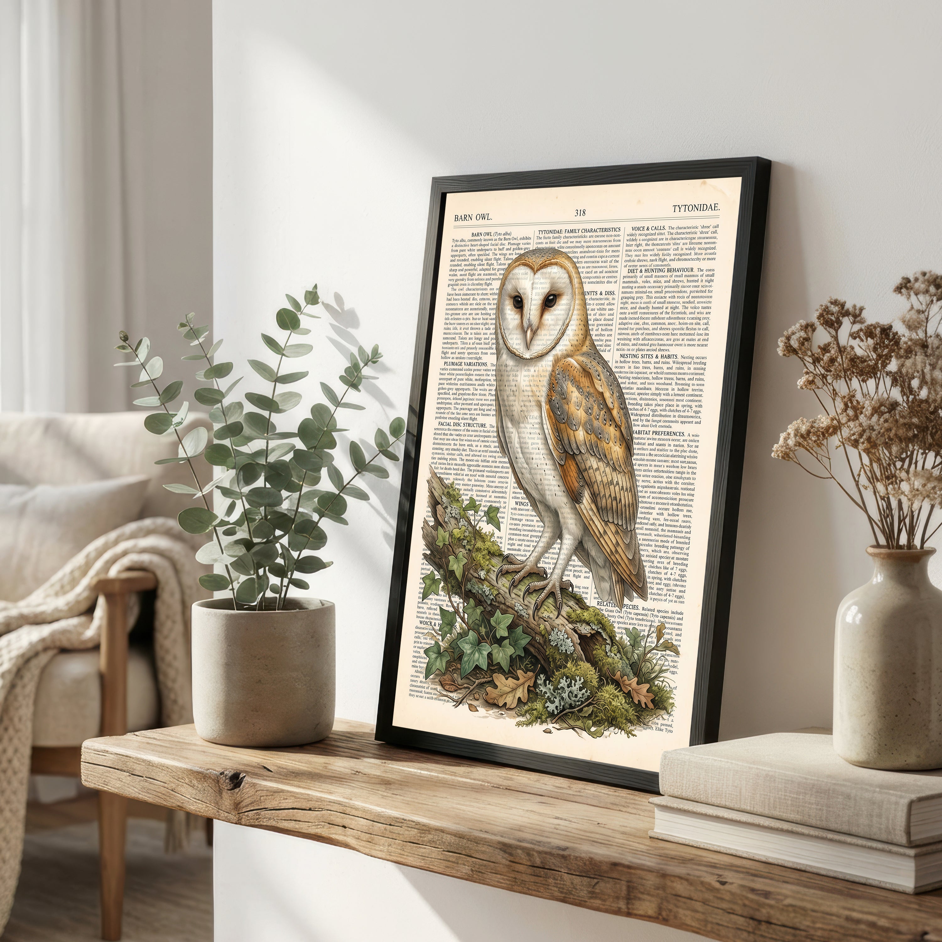 Barn Owl Vintage Natural History Art Print