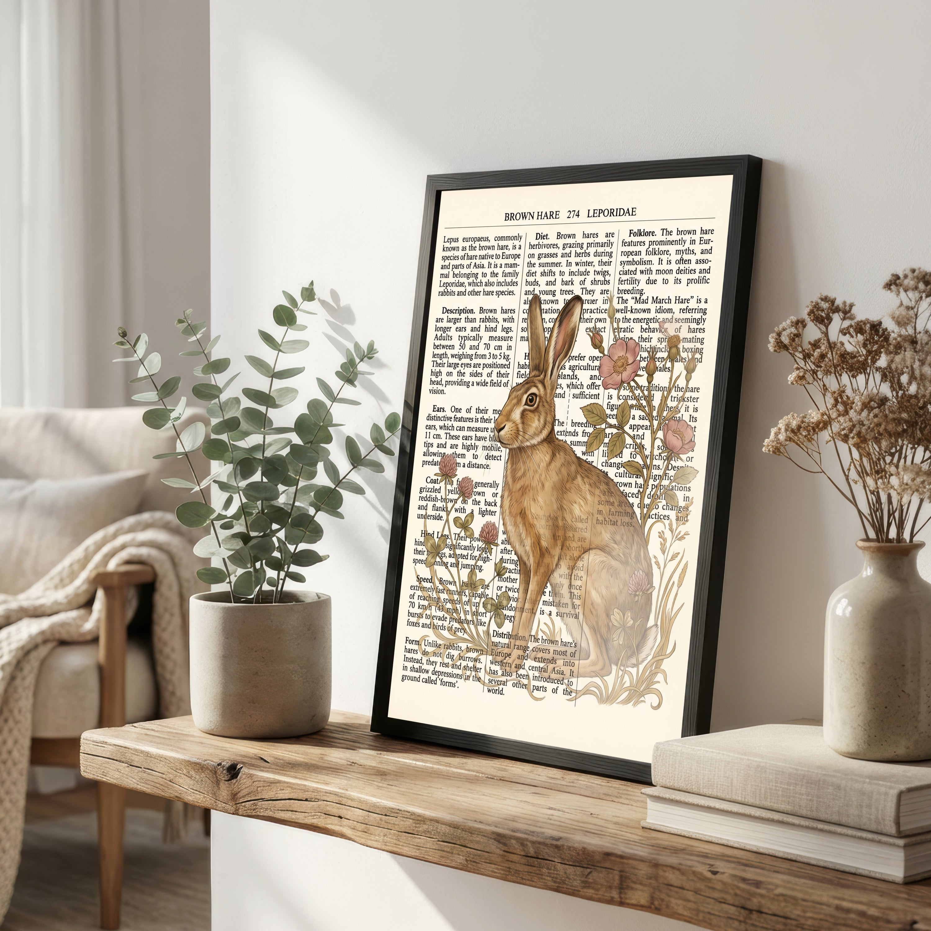 Brown Hare Botanical Art Print