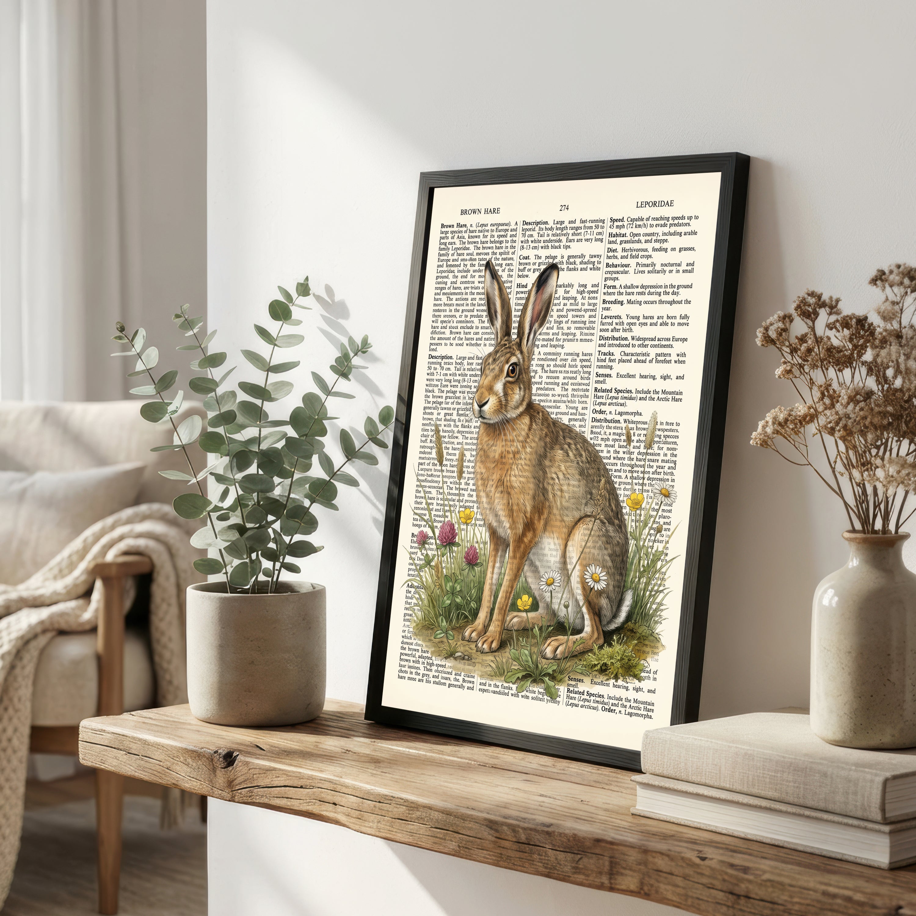 Brown Hare Botanical Art Print