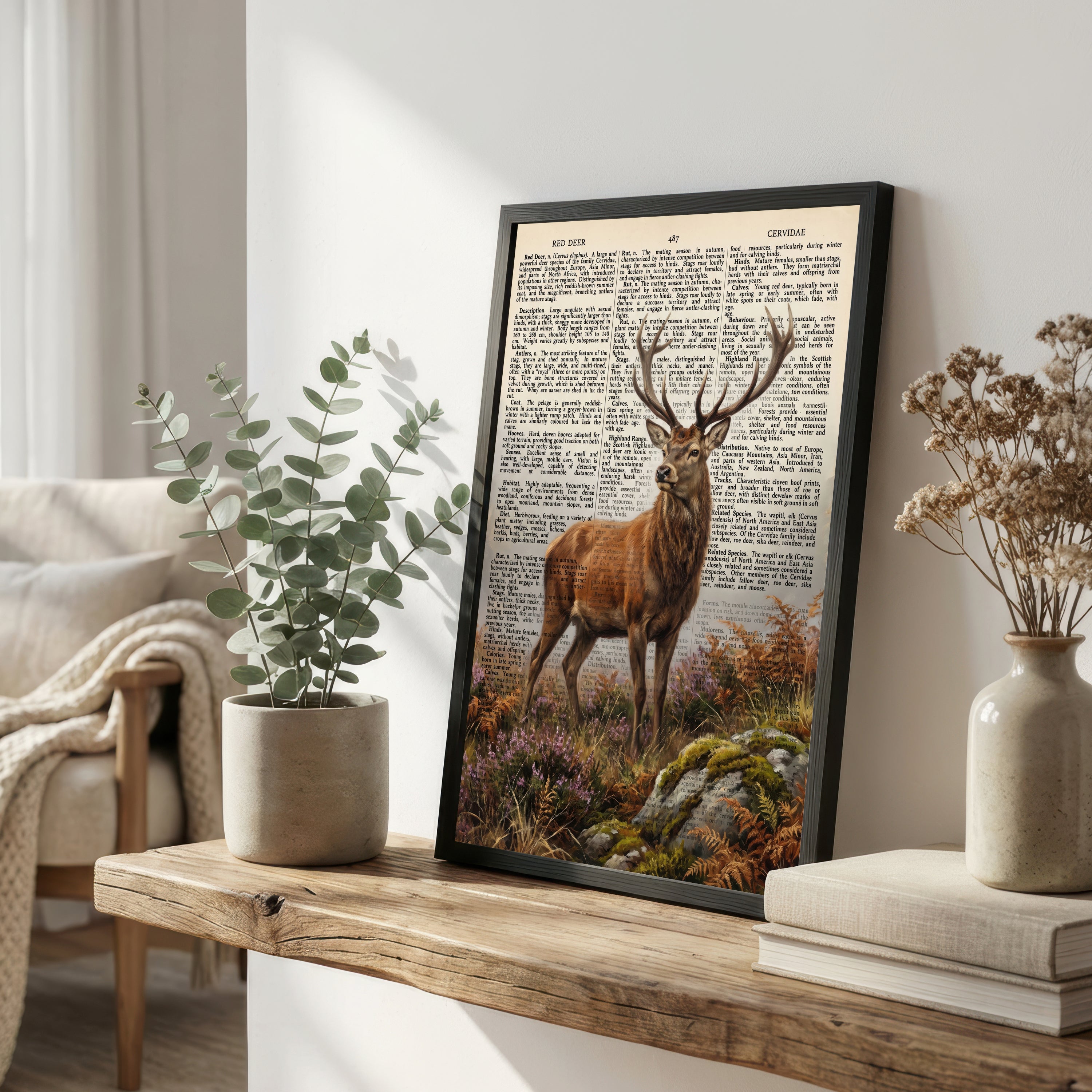Red Deer Vintage Natural History Art Print