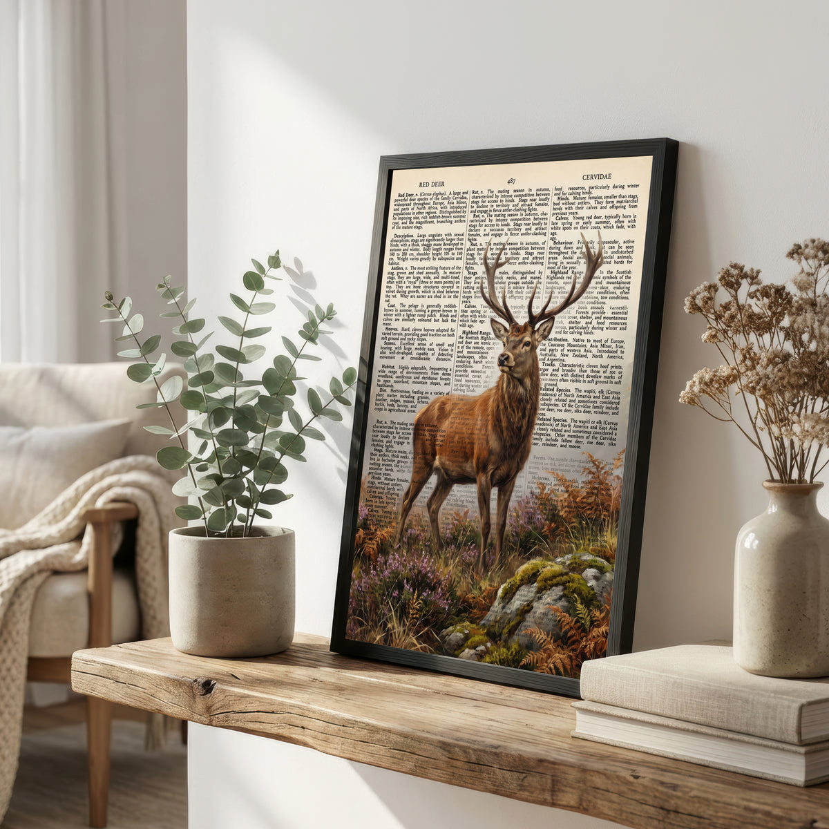 Red Deer Vintage Natural History Art Print