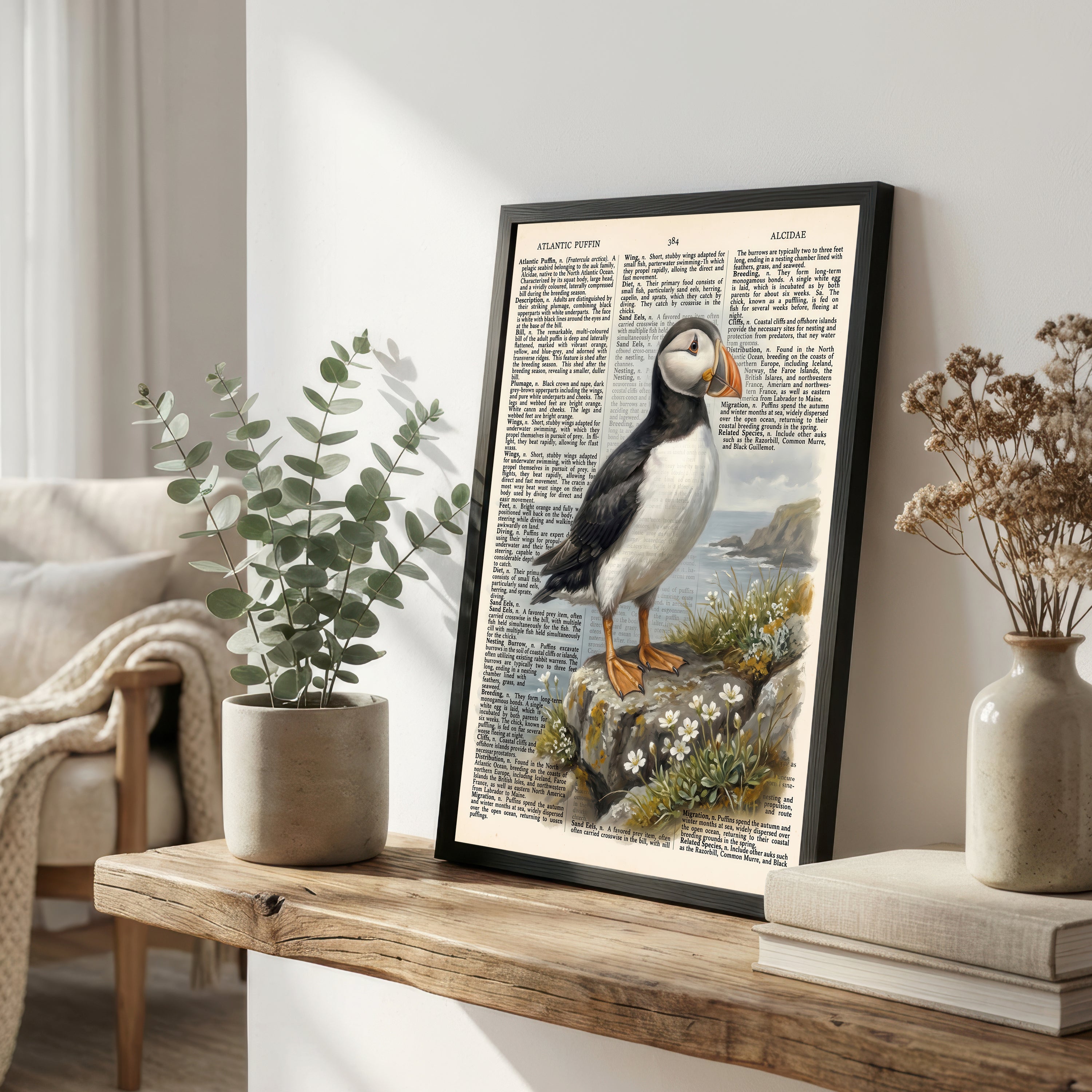 Atlantic Puffin Vintage Art Print