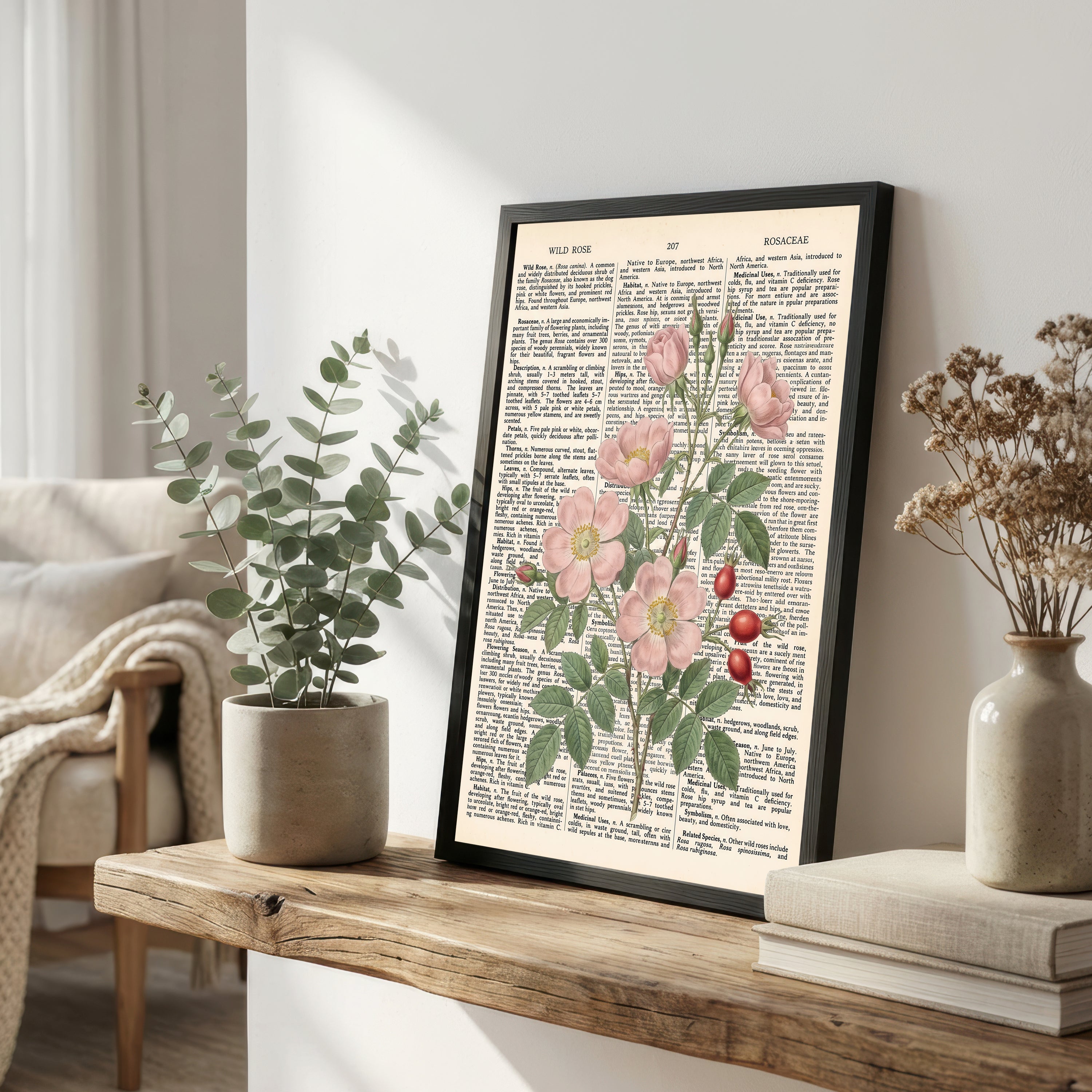 Wild Rose Botanical Dictionary Art Print