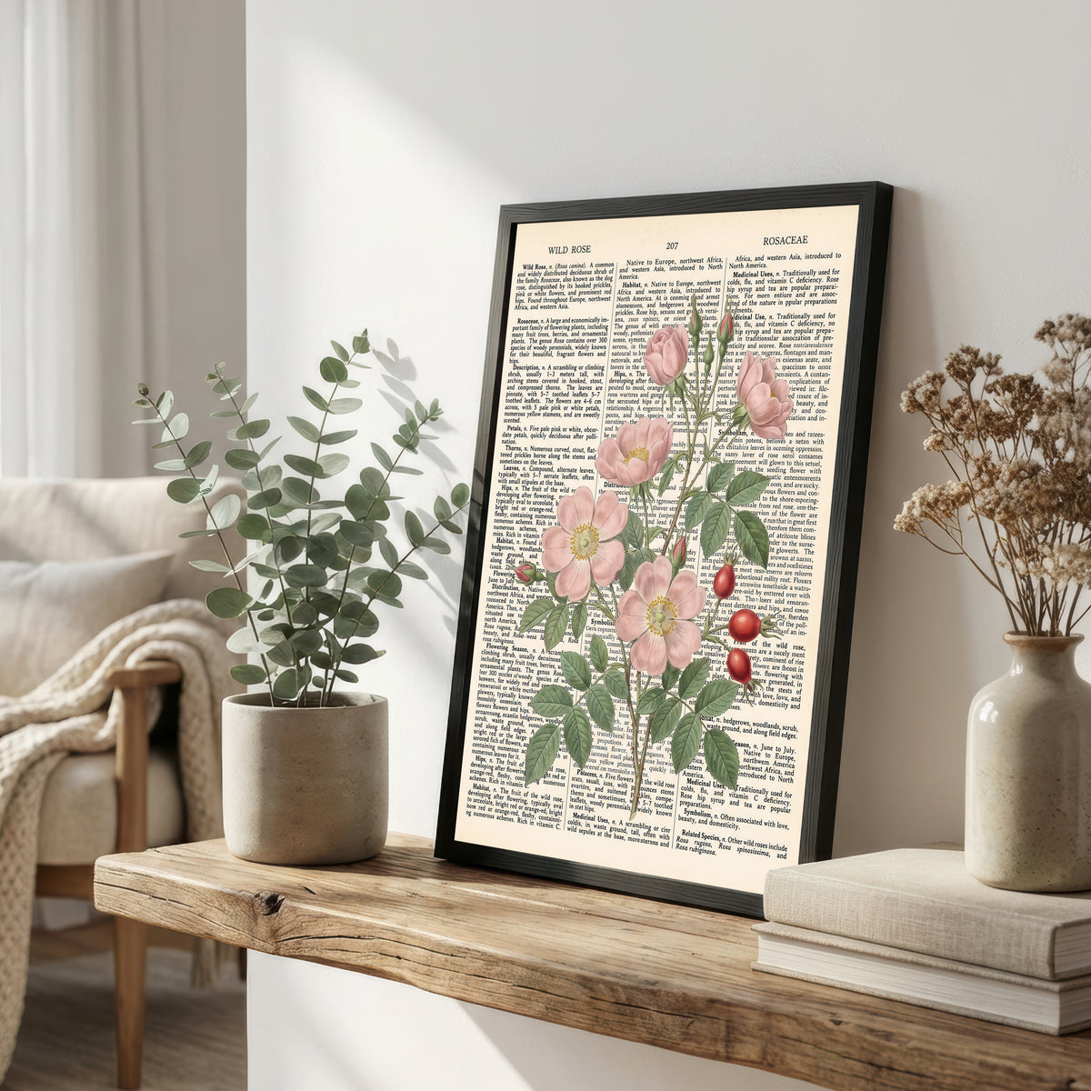 Wild Rose Botanical Dictionary Art Print