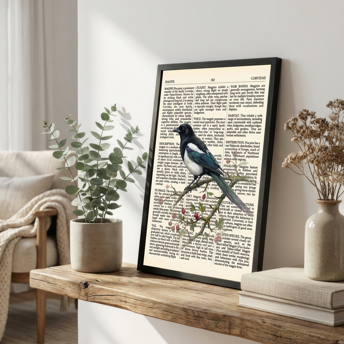 Vintage Magpie Natural History Art Print