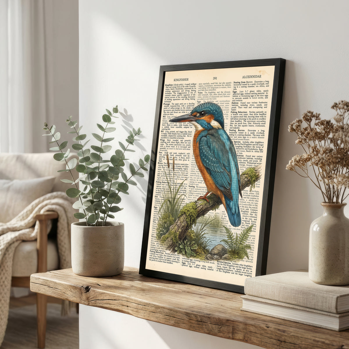 Kingfisher Natural History Art Print