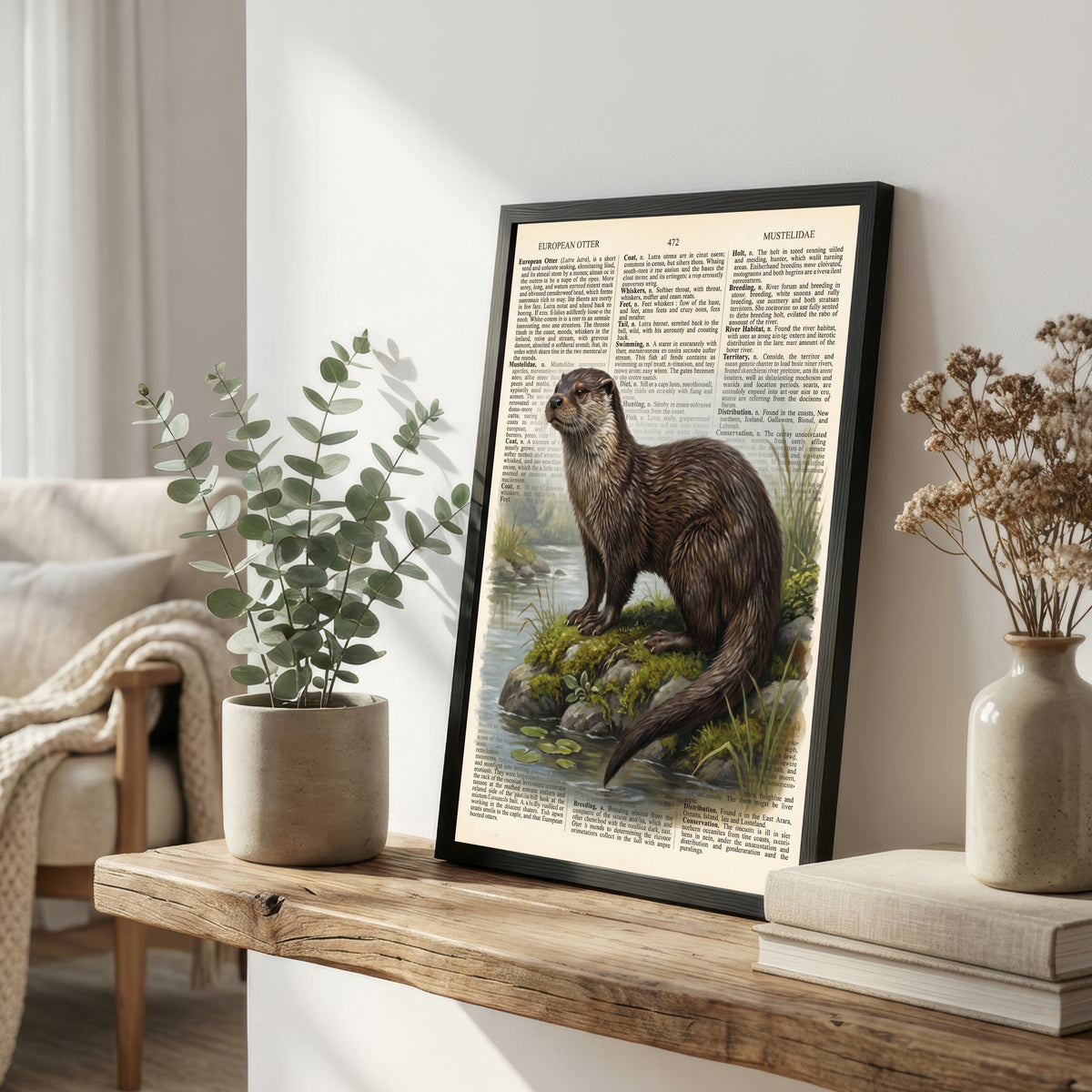 European Otter Vintage Art Print