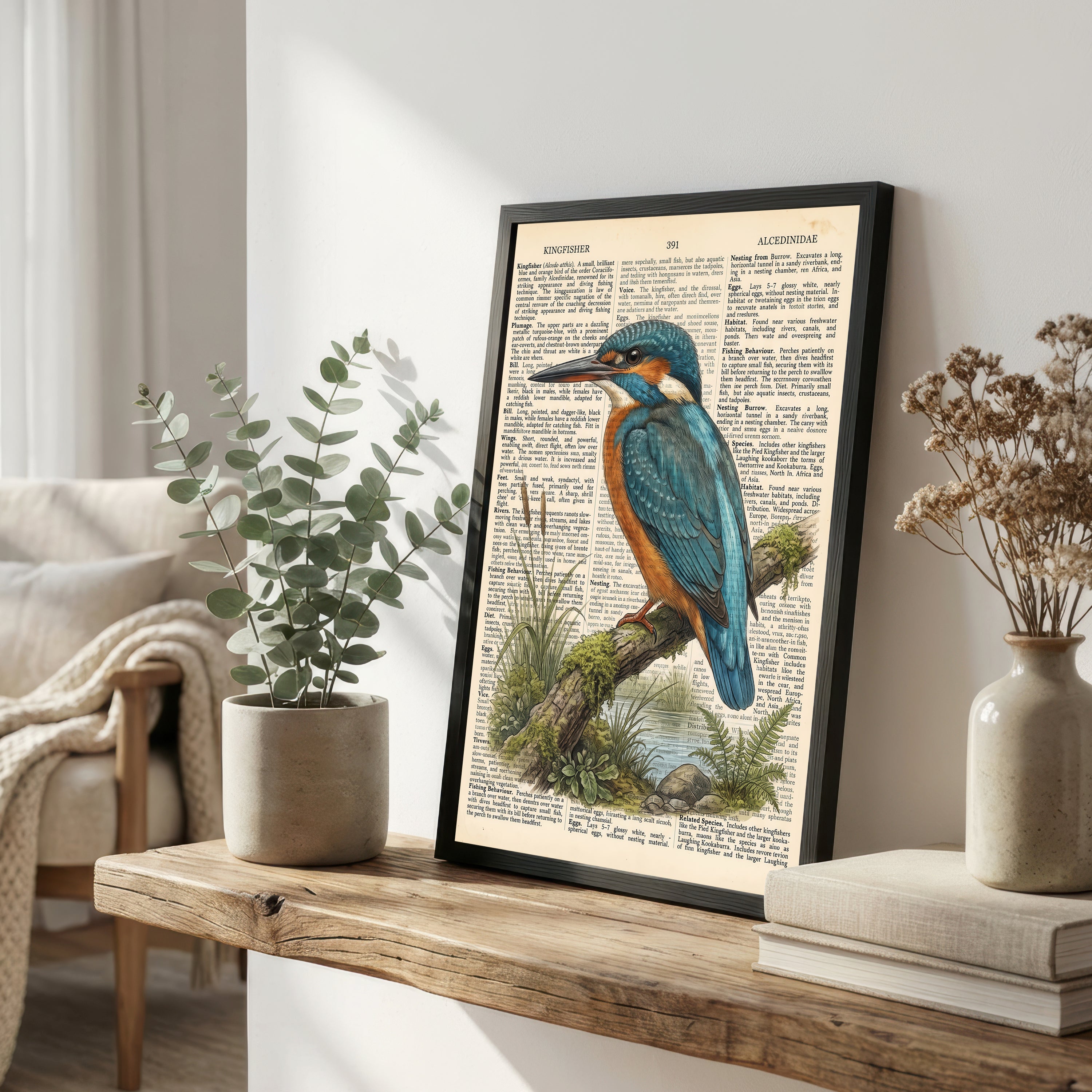 Vintage Kingfisher Wildlife Art Print