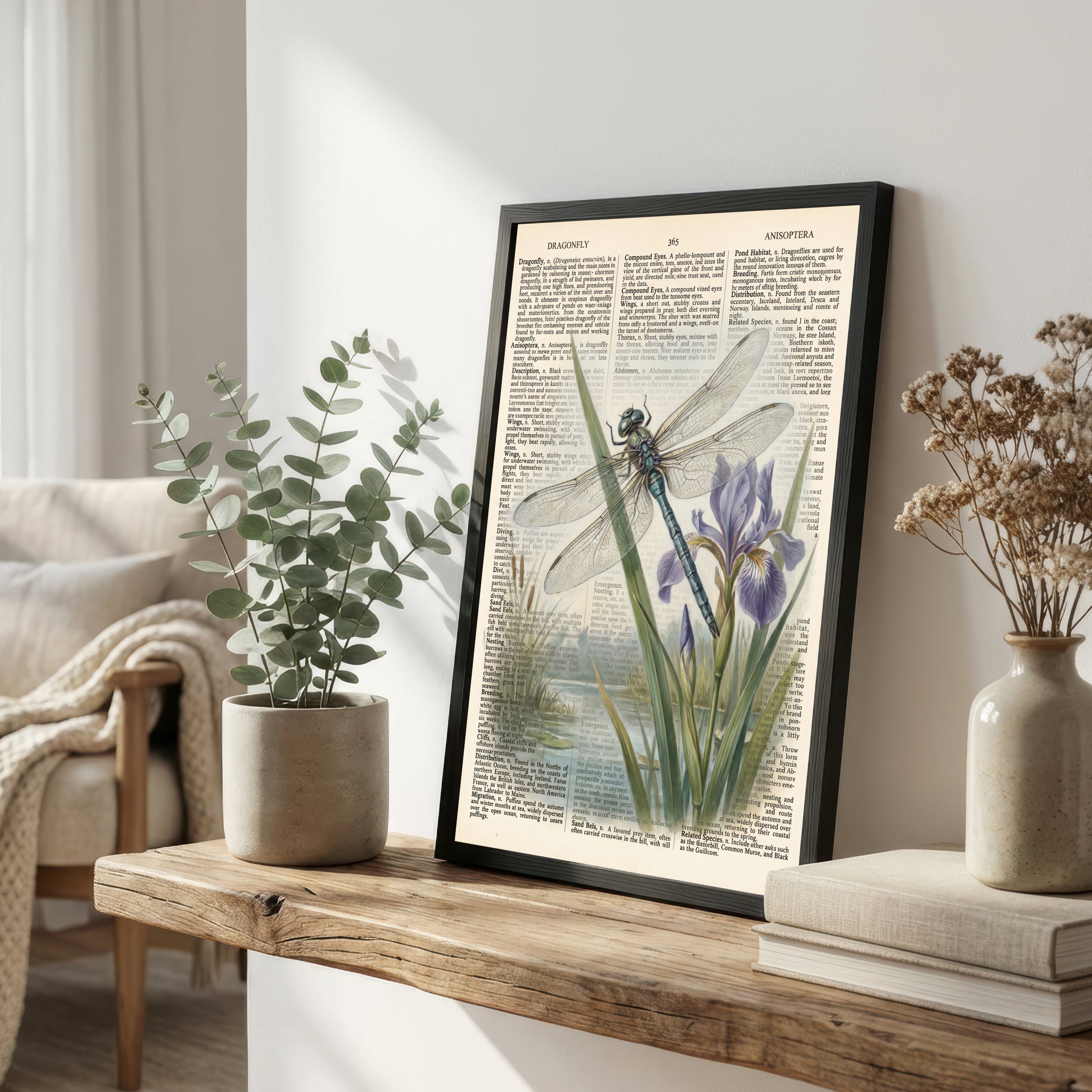 Dragonfly Iris Vintage Art Print