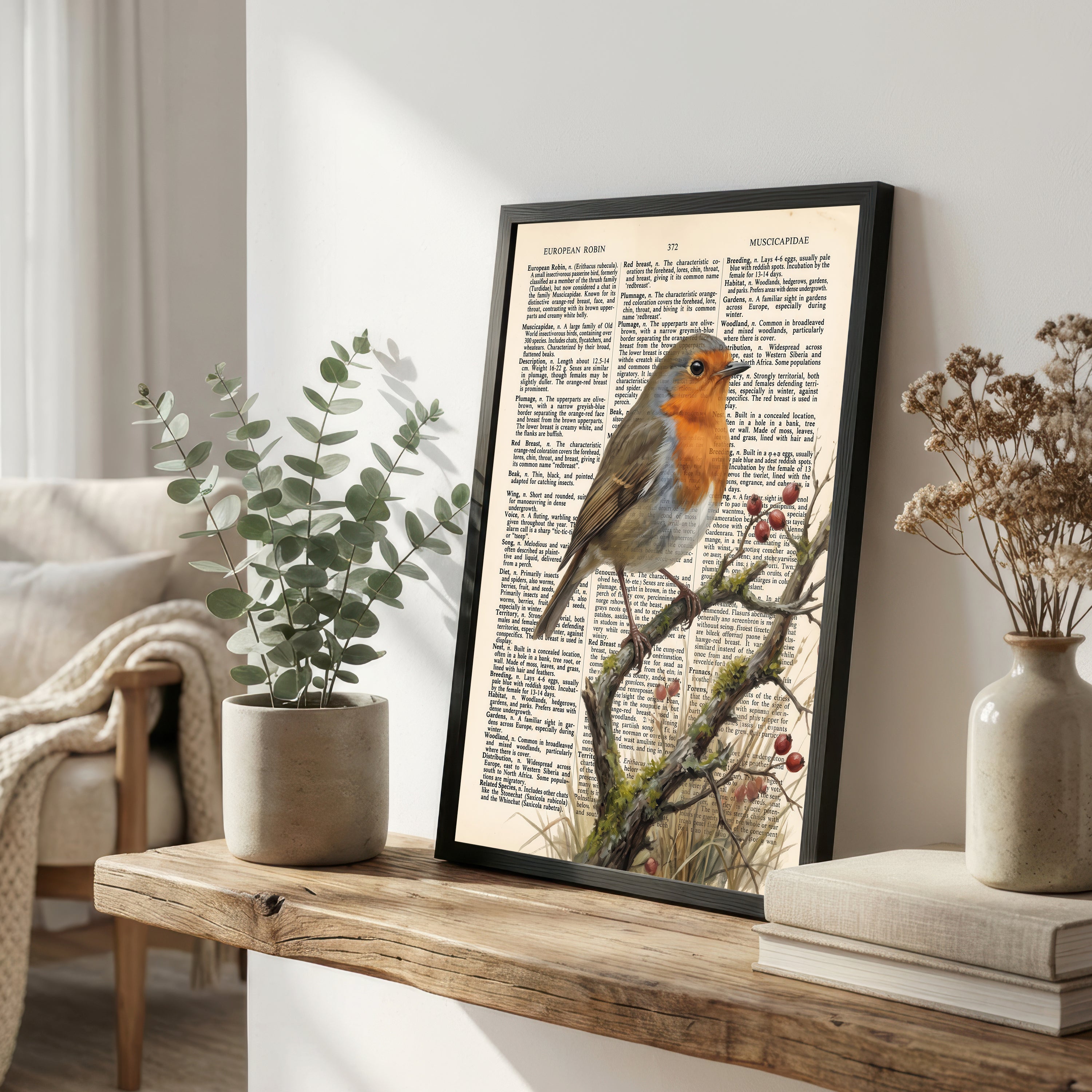 European Robin Vintage Dictionary Art Print