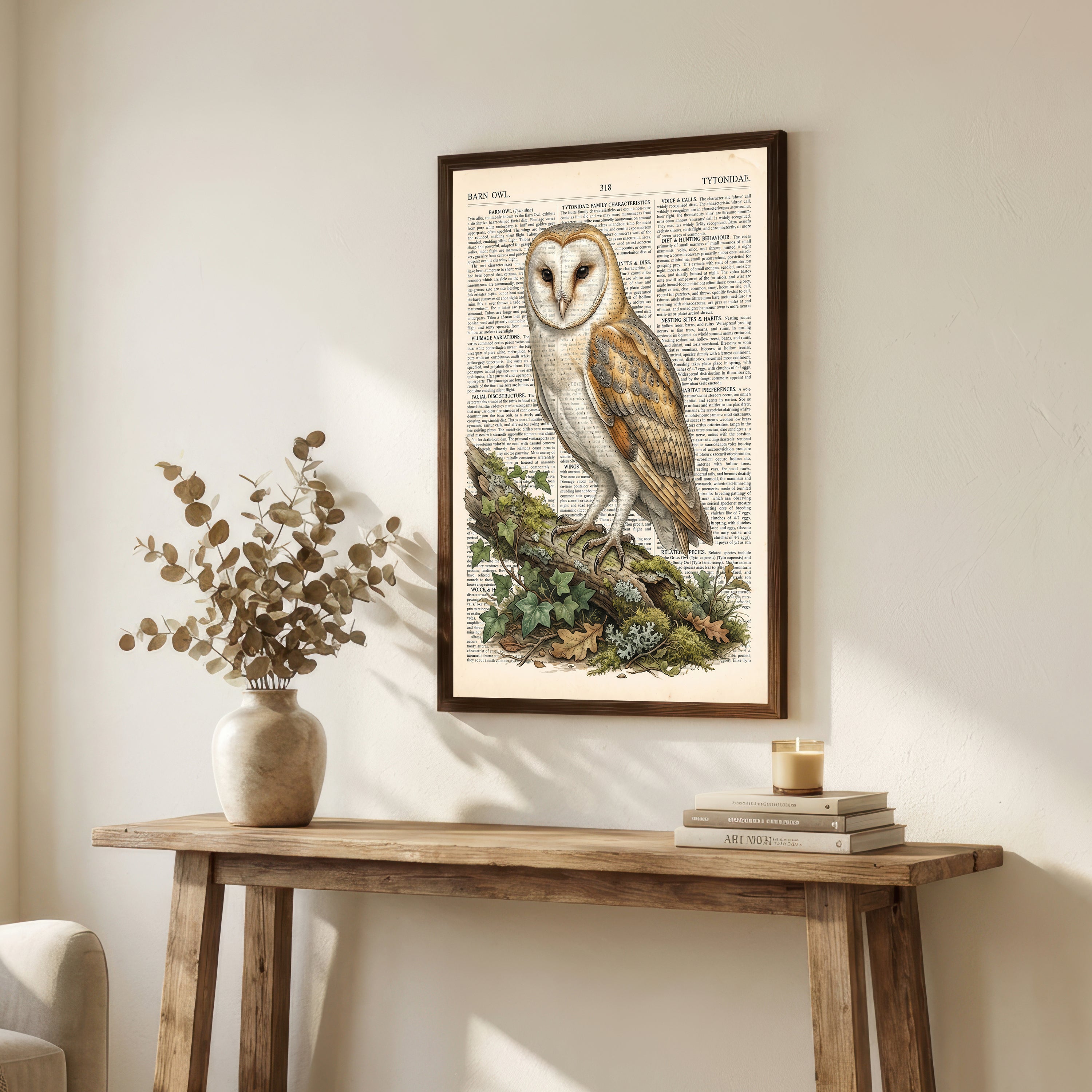Vintage Barn Owl Art Print