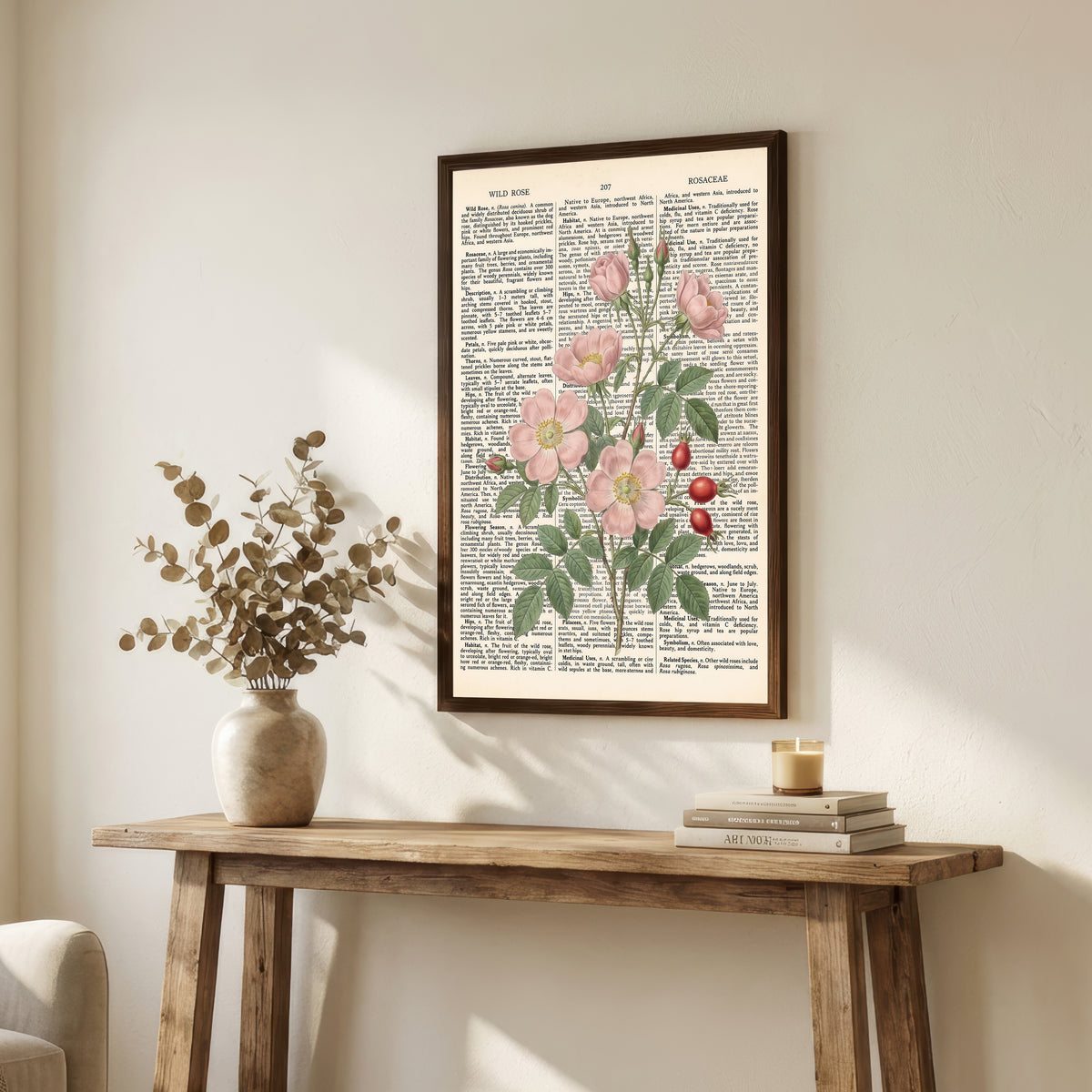 Wild Rose Botanical Dictionary Art Print