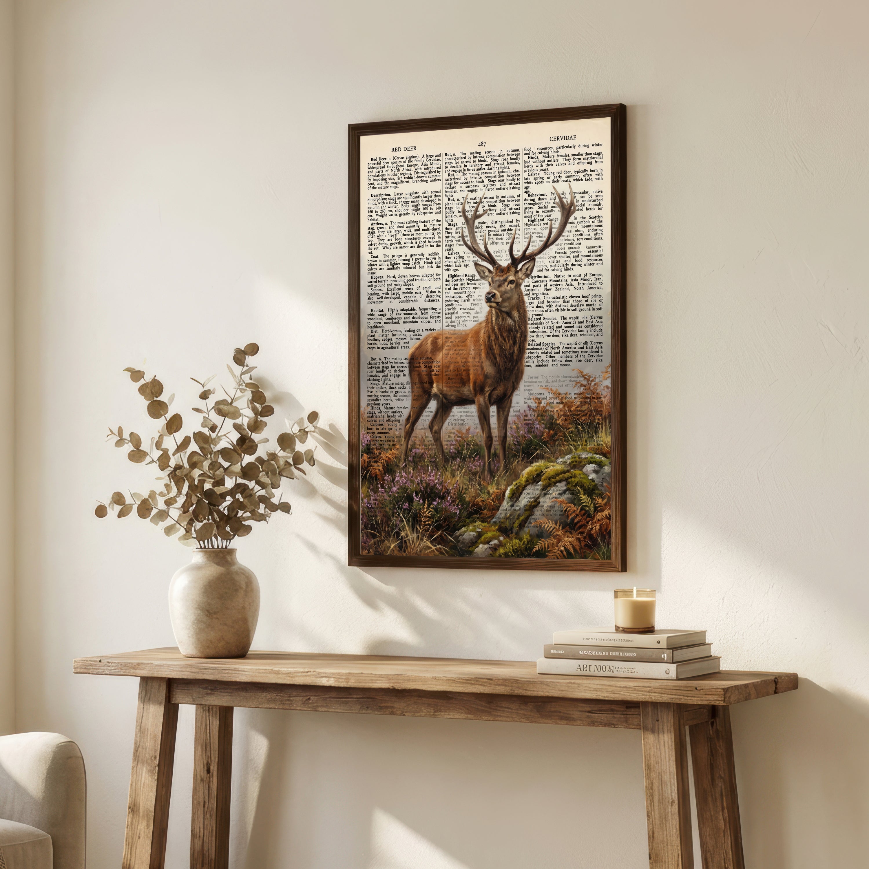 Red Deer Vintage Natural History Art Print