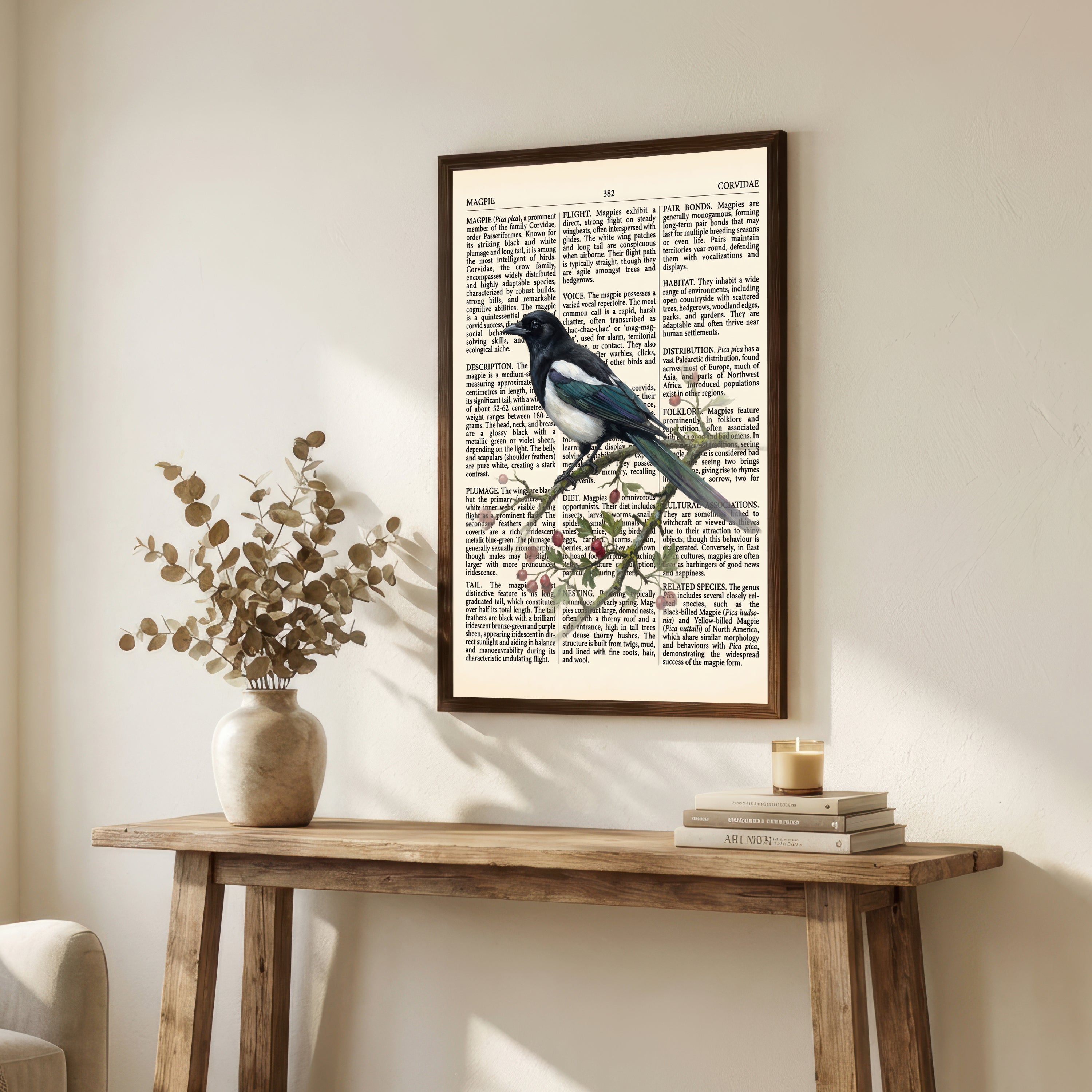Vintage Magpie Natural History Art Print
