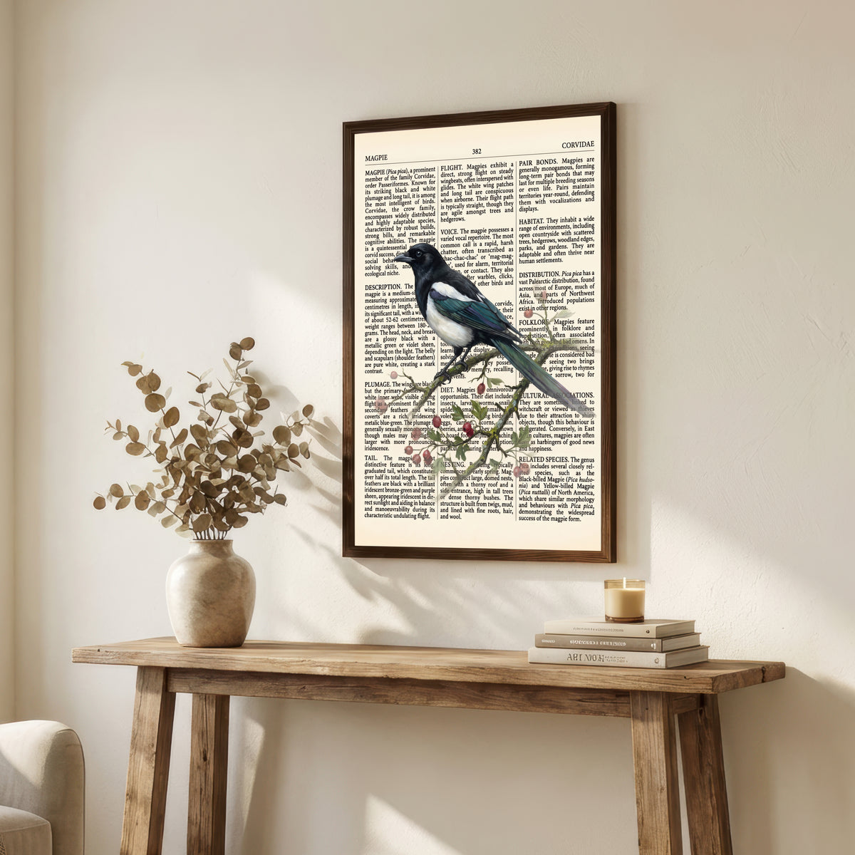 Vintage Magpie Natural History Art Print