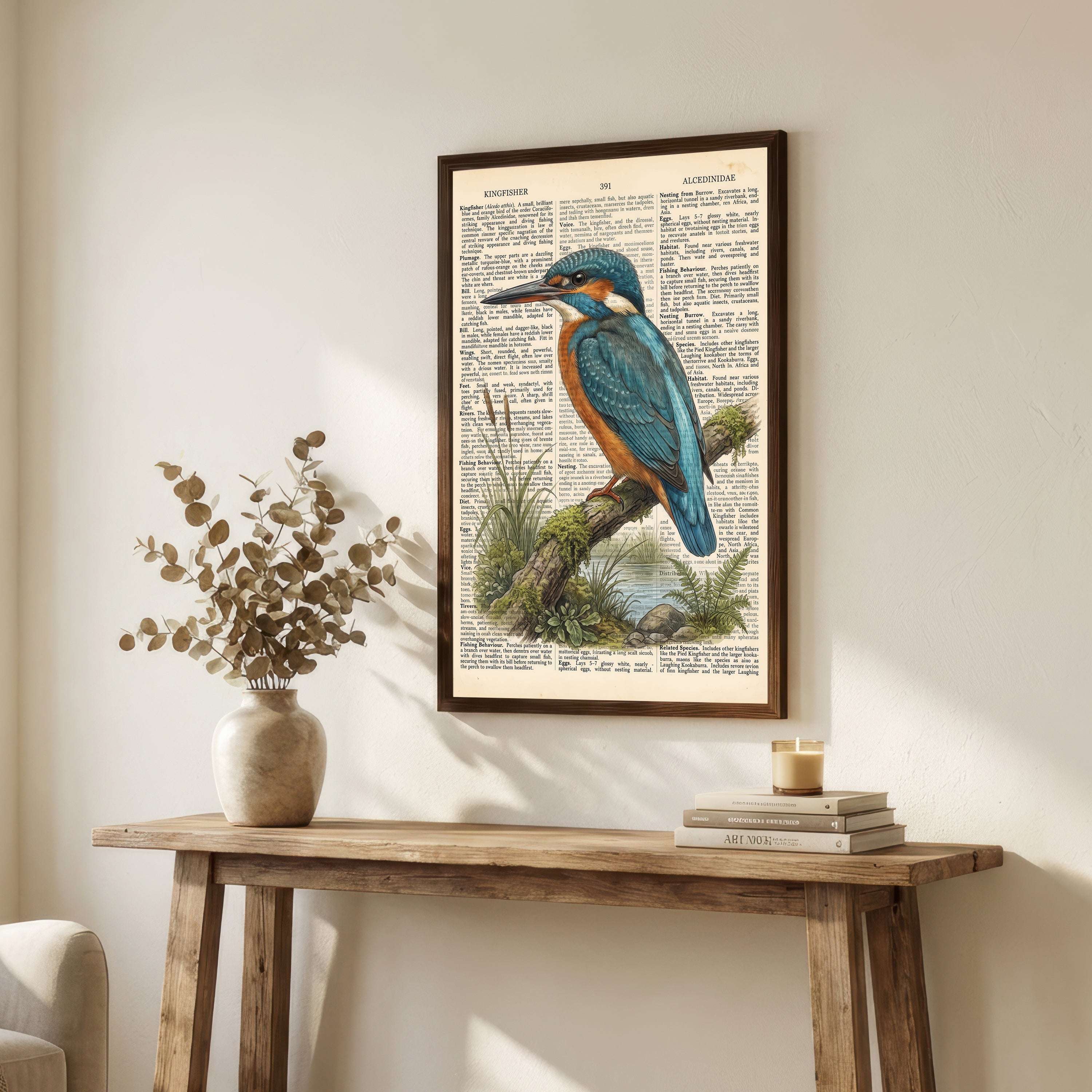 Kingfisher Natural History Art Print
