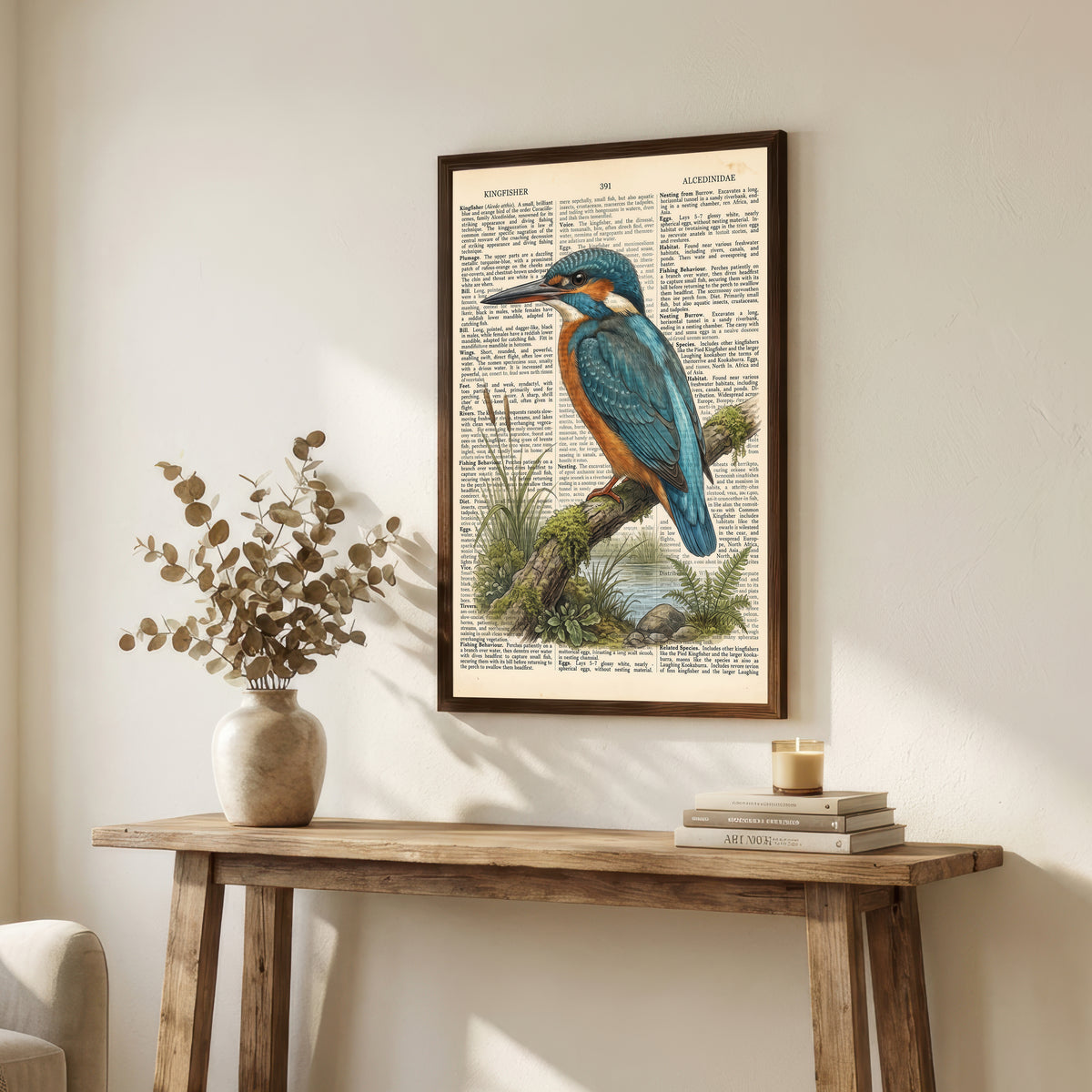 Kingfisher Natural History Art Print