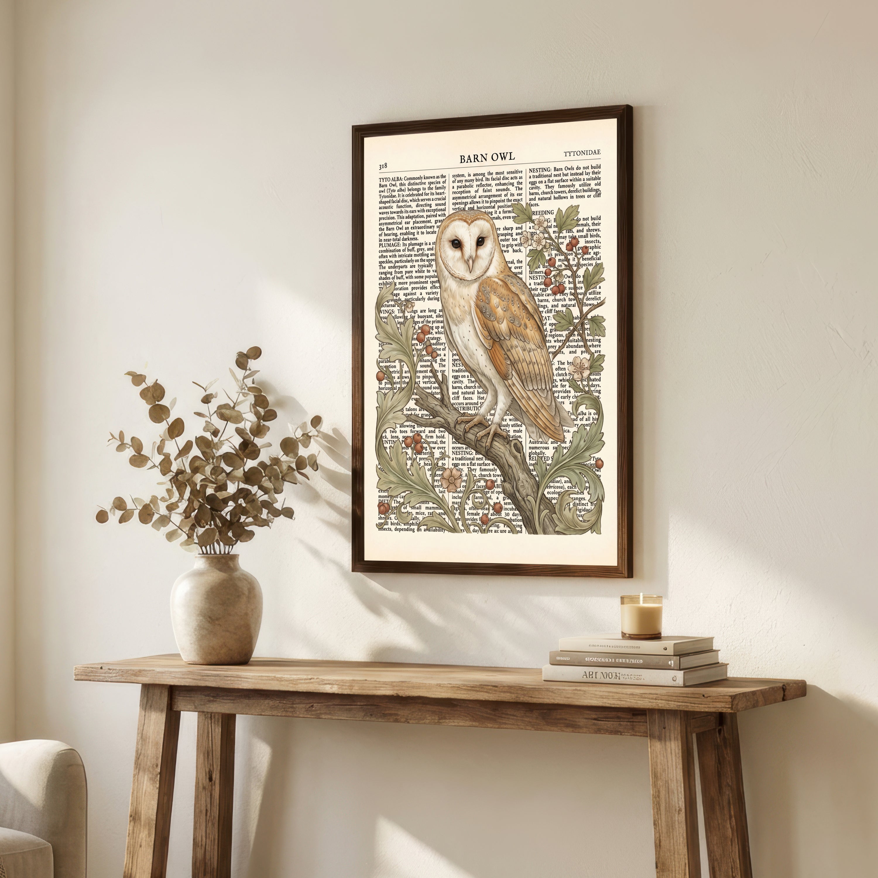 Barn Owl Natural History Art Print