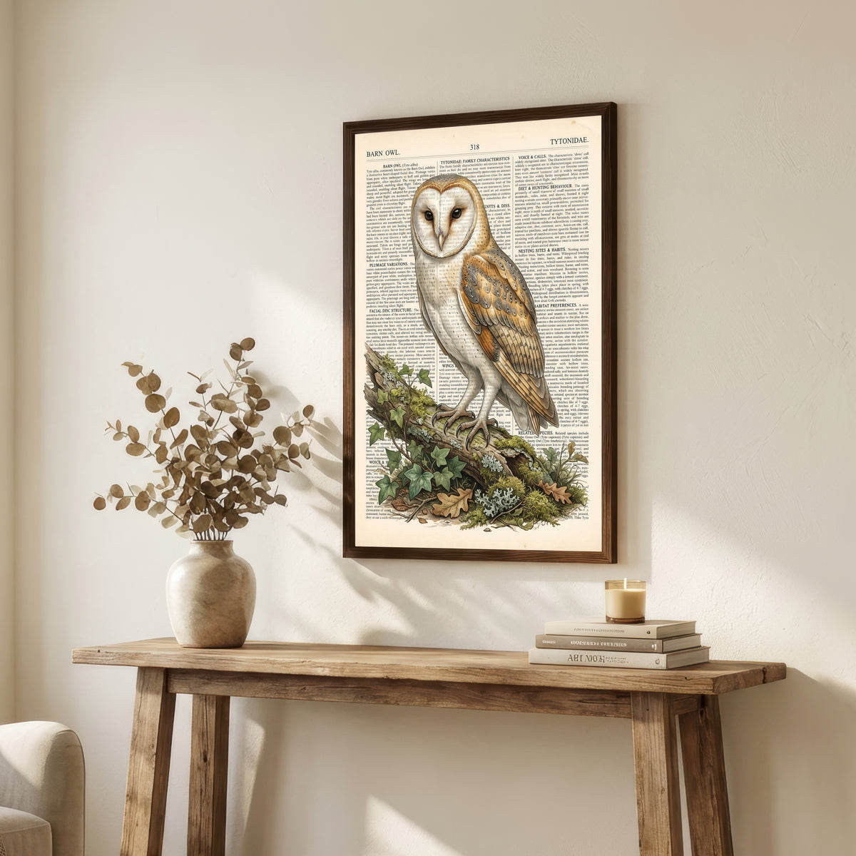 Barn Owl Vintage Natural History Art Print