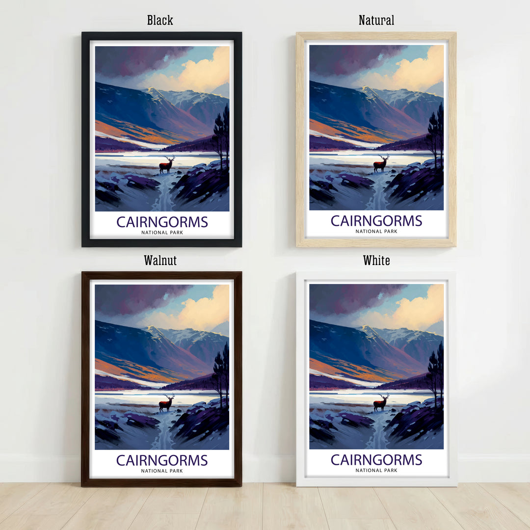 Cairngorms Scotland