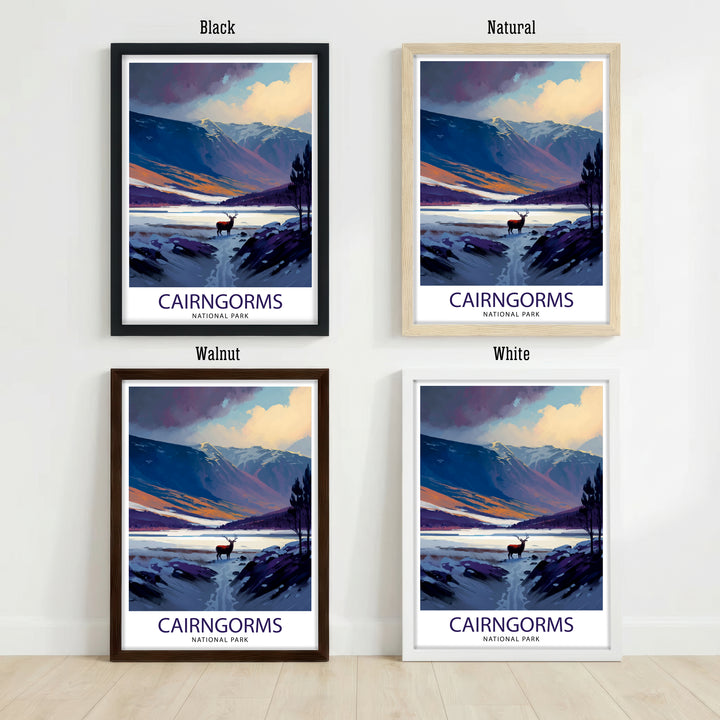 Cairngorms Scotland
